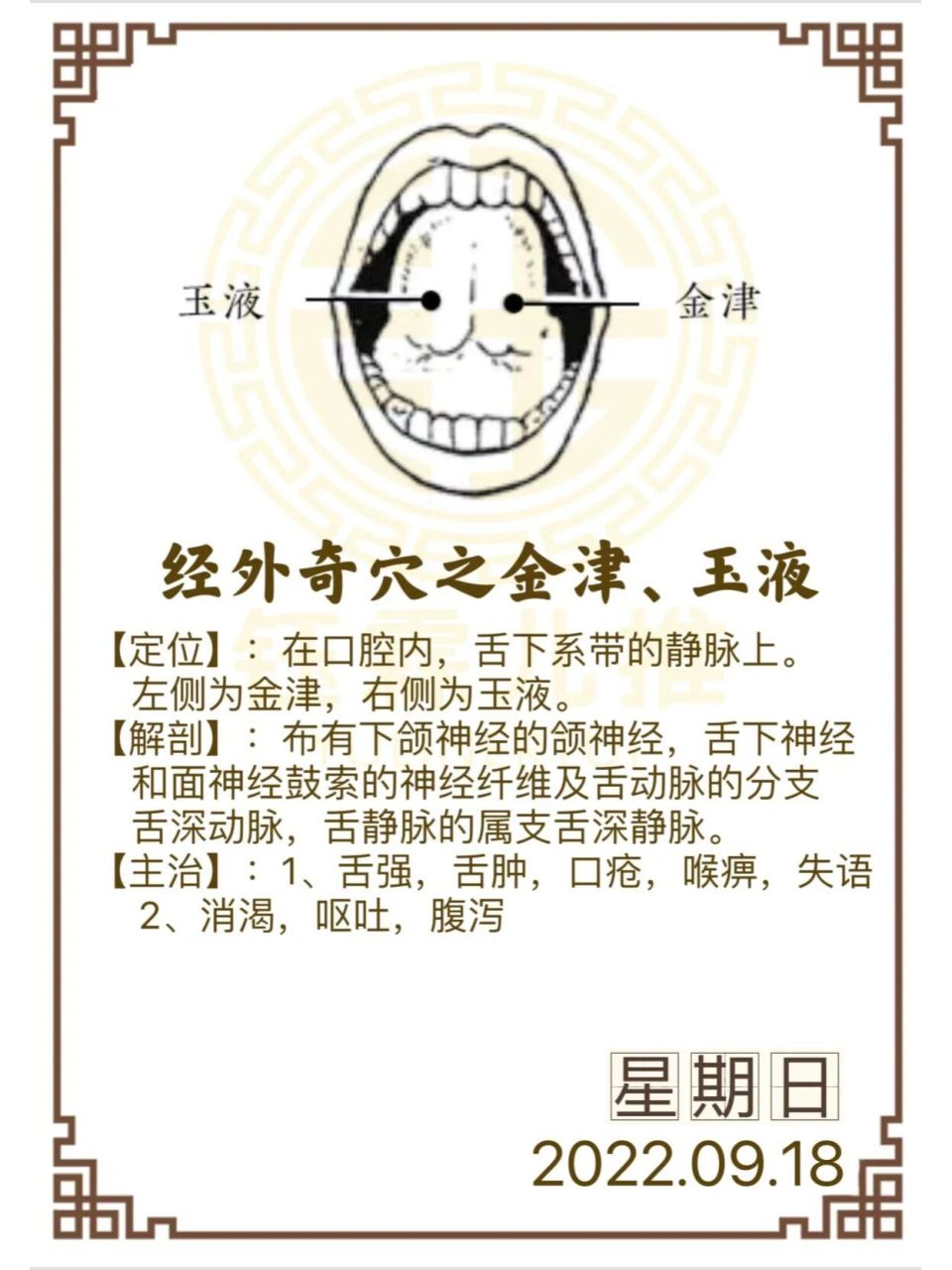 钰霖儿推,每日一穴 【穴位】:金津,玉液 【定位】:在口腔内,舌下洗