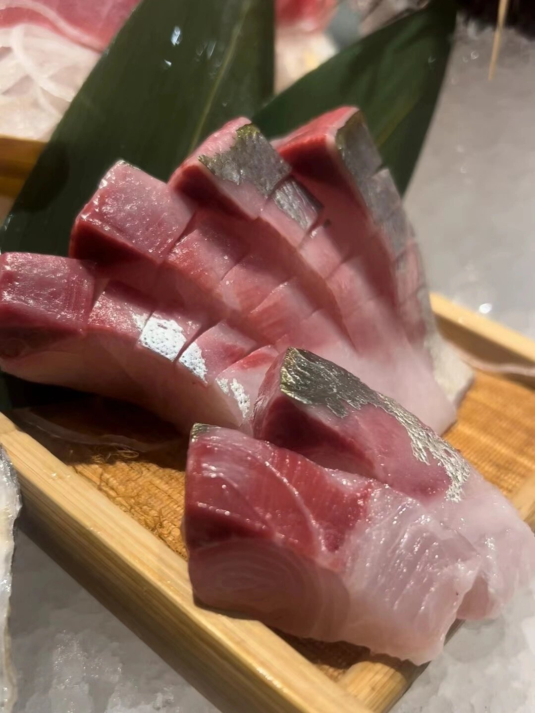 池鱼王(大竹荚鱼) 传说中的池鱼王又叫大竹荚鱼