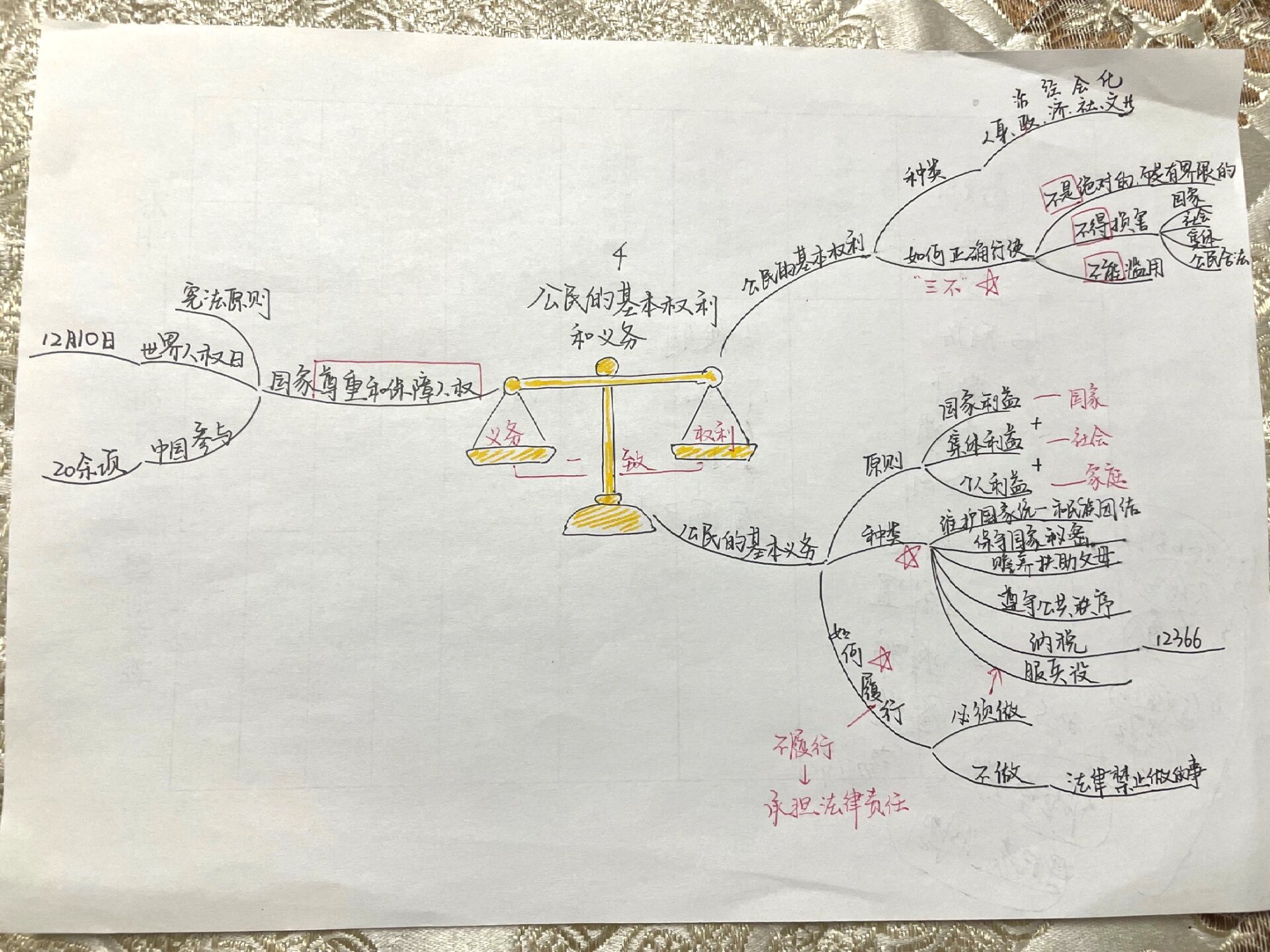 全手画六年级上册道德与法治思维导图