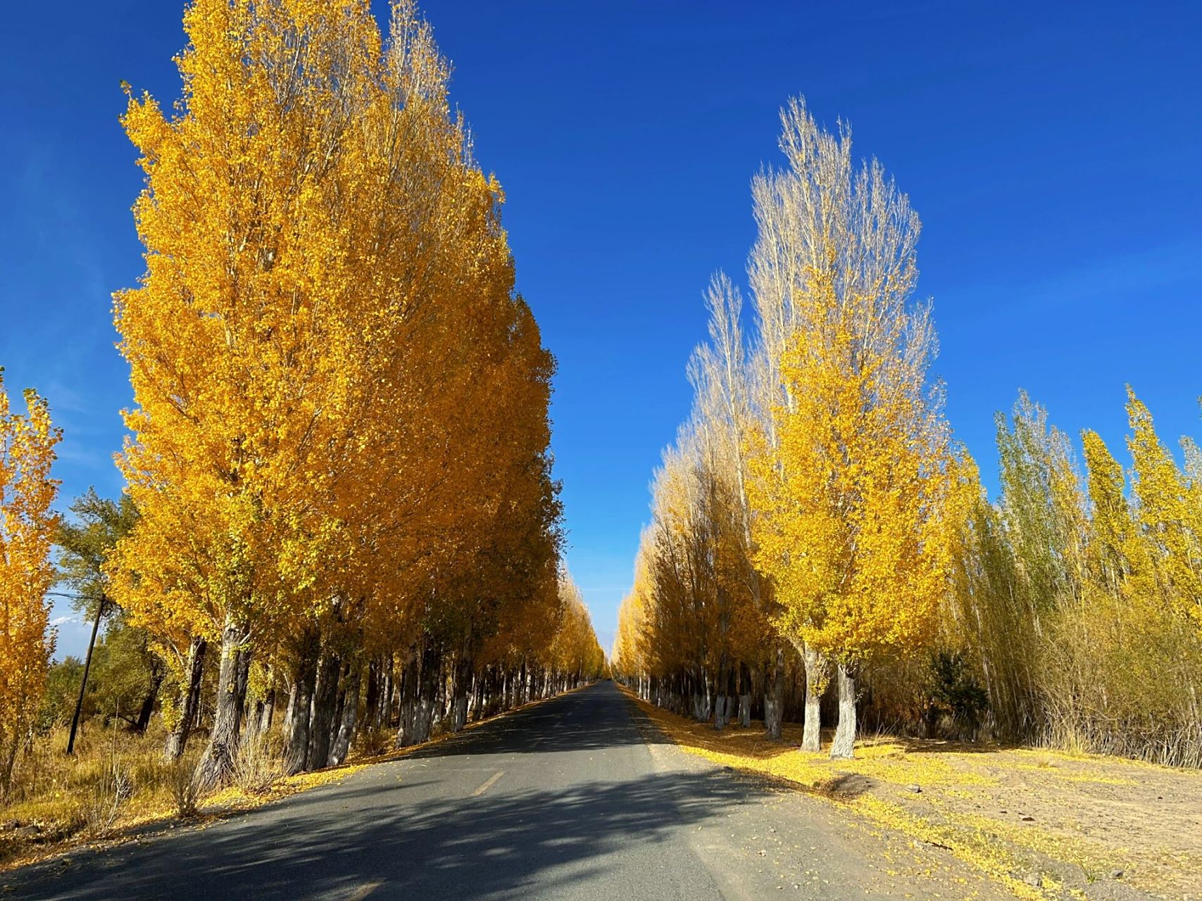 99达坂城东沟乡 不能错过的自然美景7215