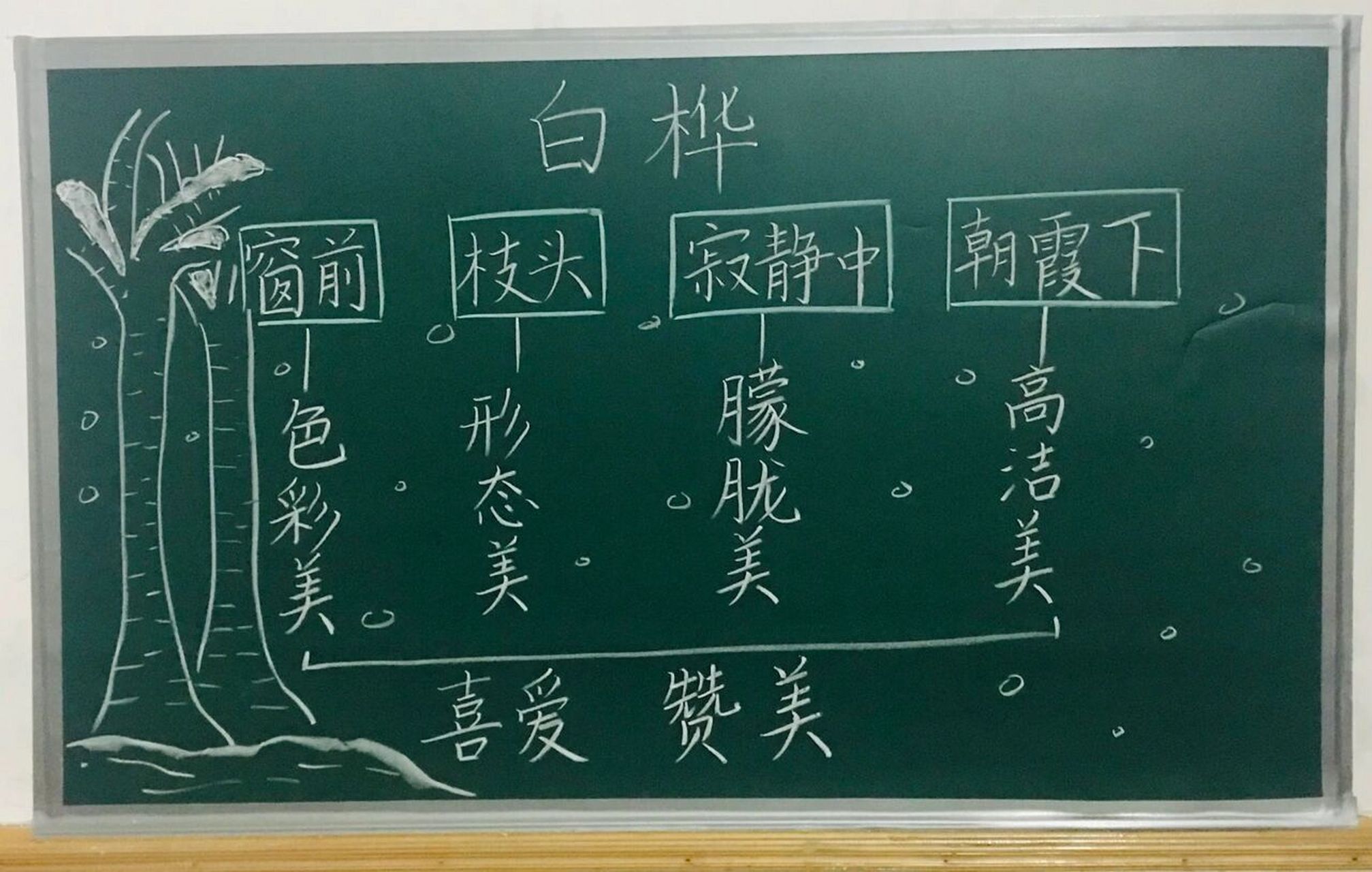 四年级下册《白桦》板书设计