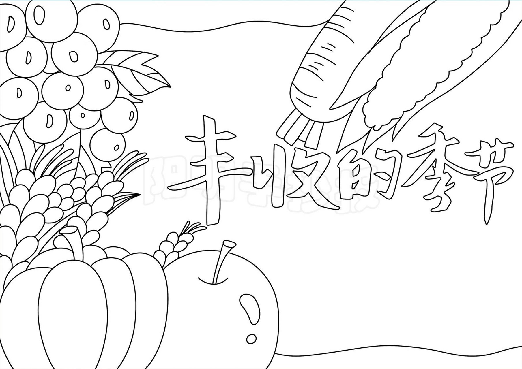 1240 丰收的季节手抄报 93用于学生临摹交作业 93购彩色线稿 黑白
