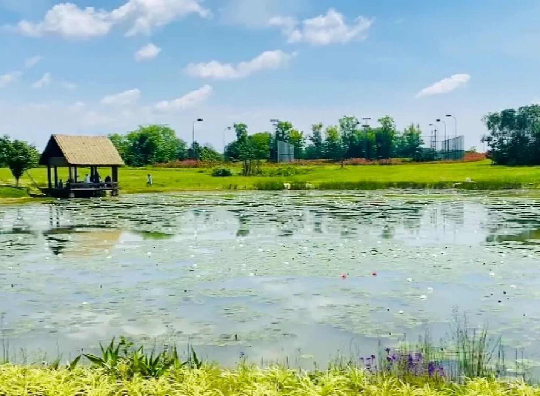 青龙湖湿地公园 青龙湖湿地公园位于成都市龙泉驿区十陵街道,是成都市