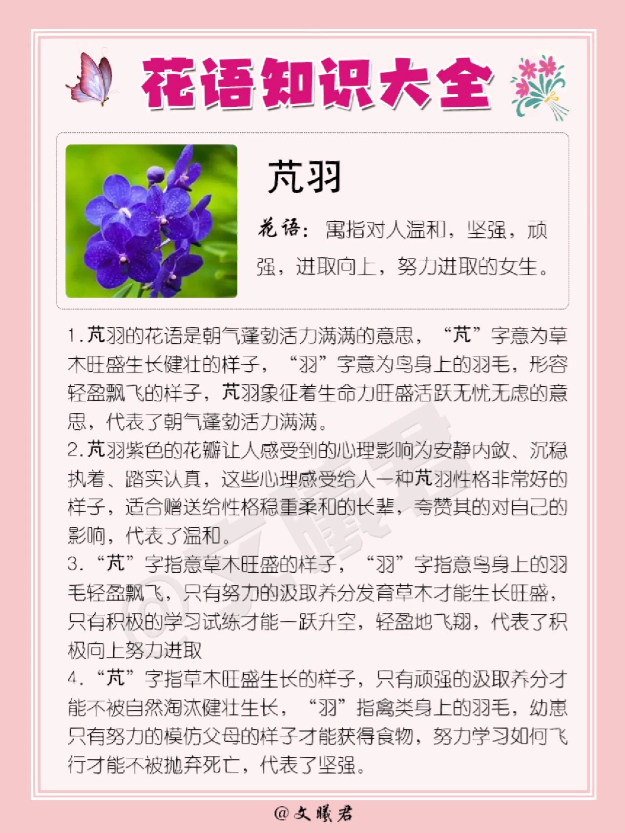 芃羽花花语图片