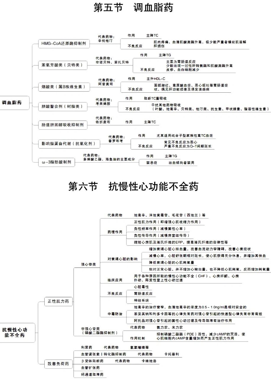 药理学思维导图手绘图片