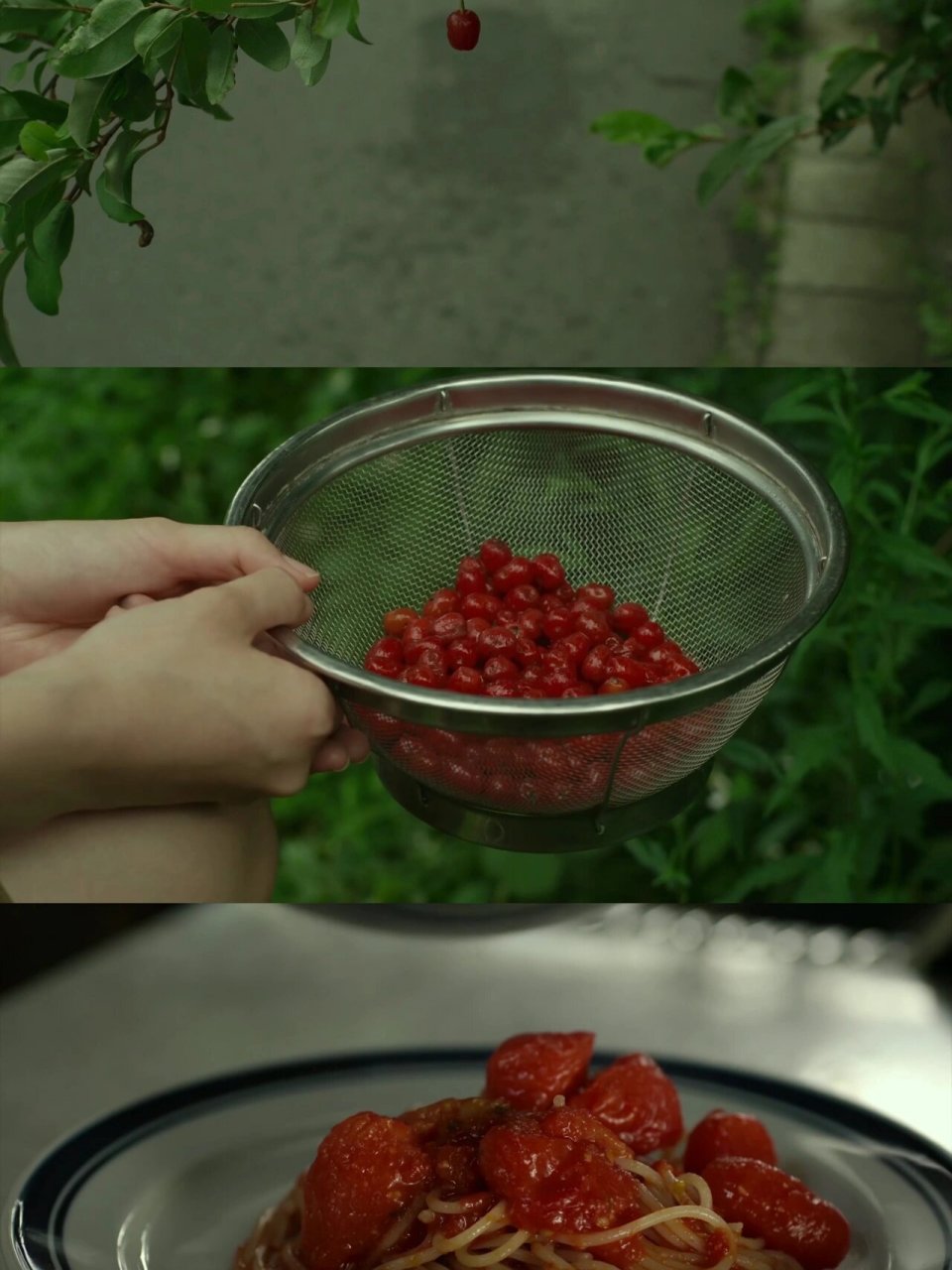 《小森林》 夏 手机壁纸 《小森林》像是一个世外桃源 虽耕作艰辛 每