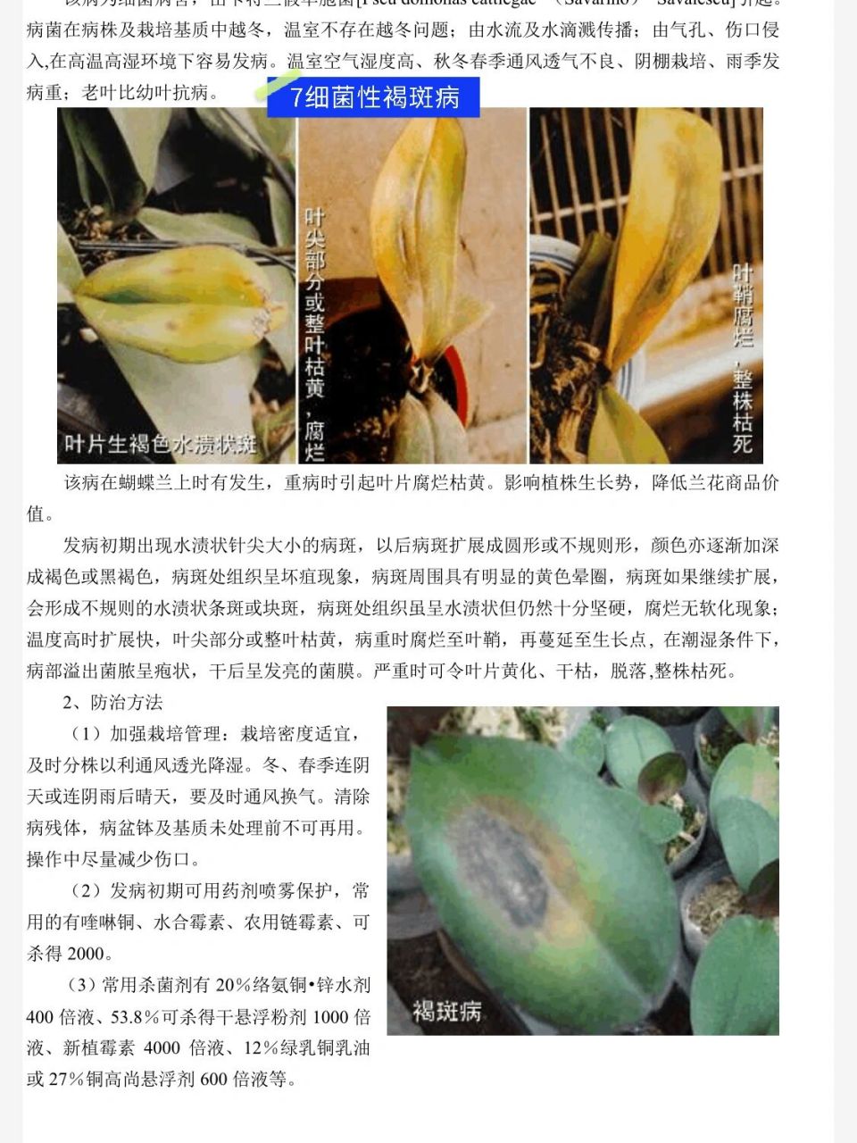 有图有疗法:蝴蝶兰病害防治大全1-7 上 ———