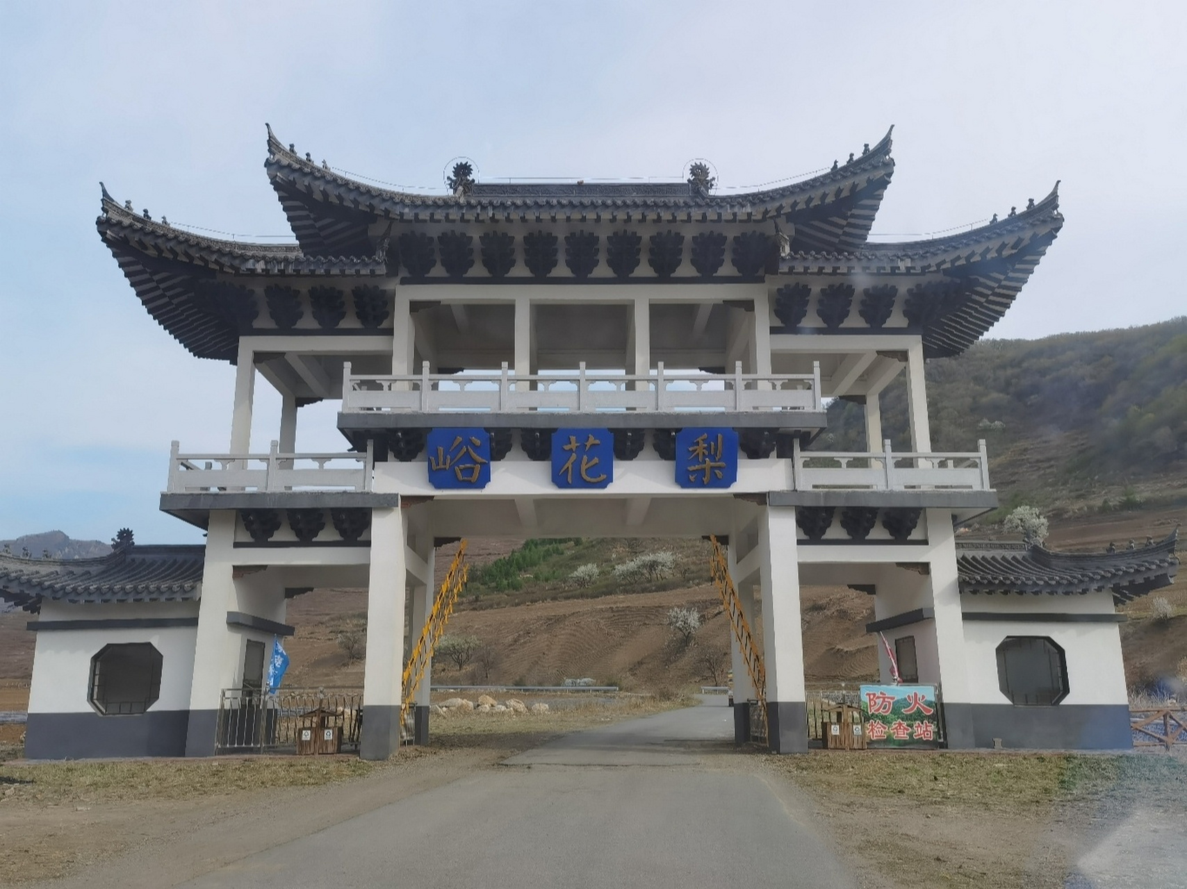 辽宁踏青61辽阳梨花峪 4月末山林里的梨花树都开花了好好看 有一条