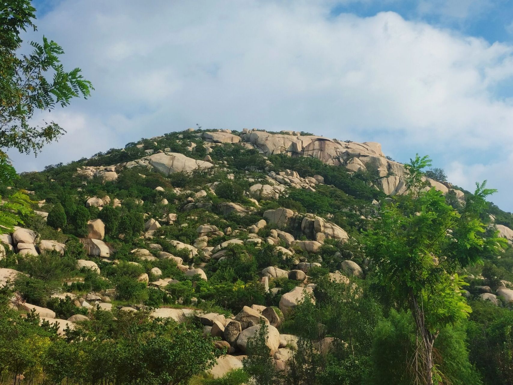 邹城牙山 今天驾车想去邹城峄山,大约一个小时的车程,结果下午在家里