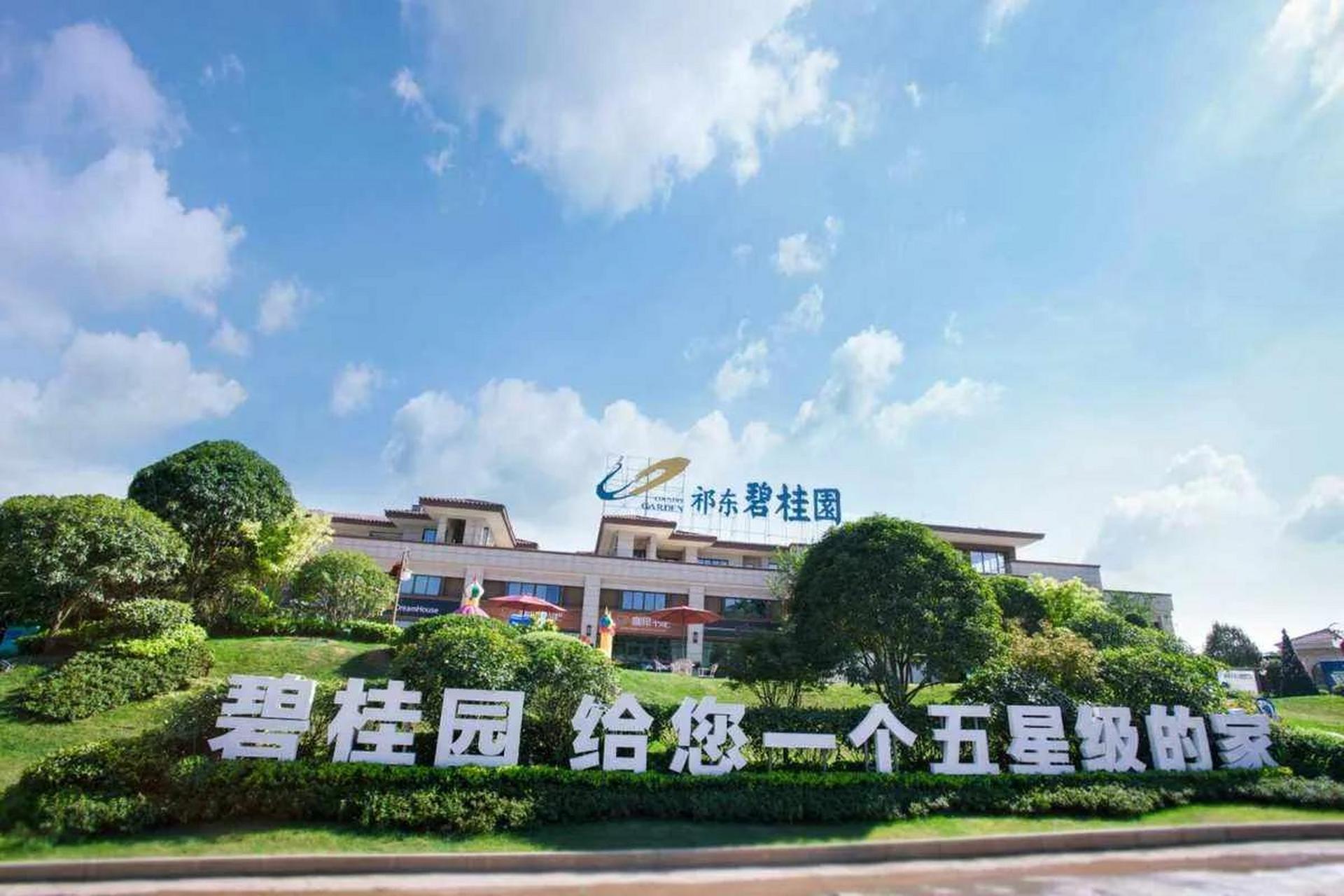 这次碧桂园真的崩盘了吗? 我是忍痛割肉果断平仓呢?