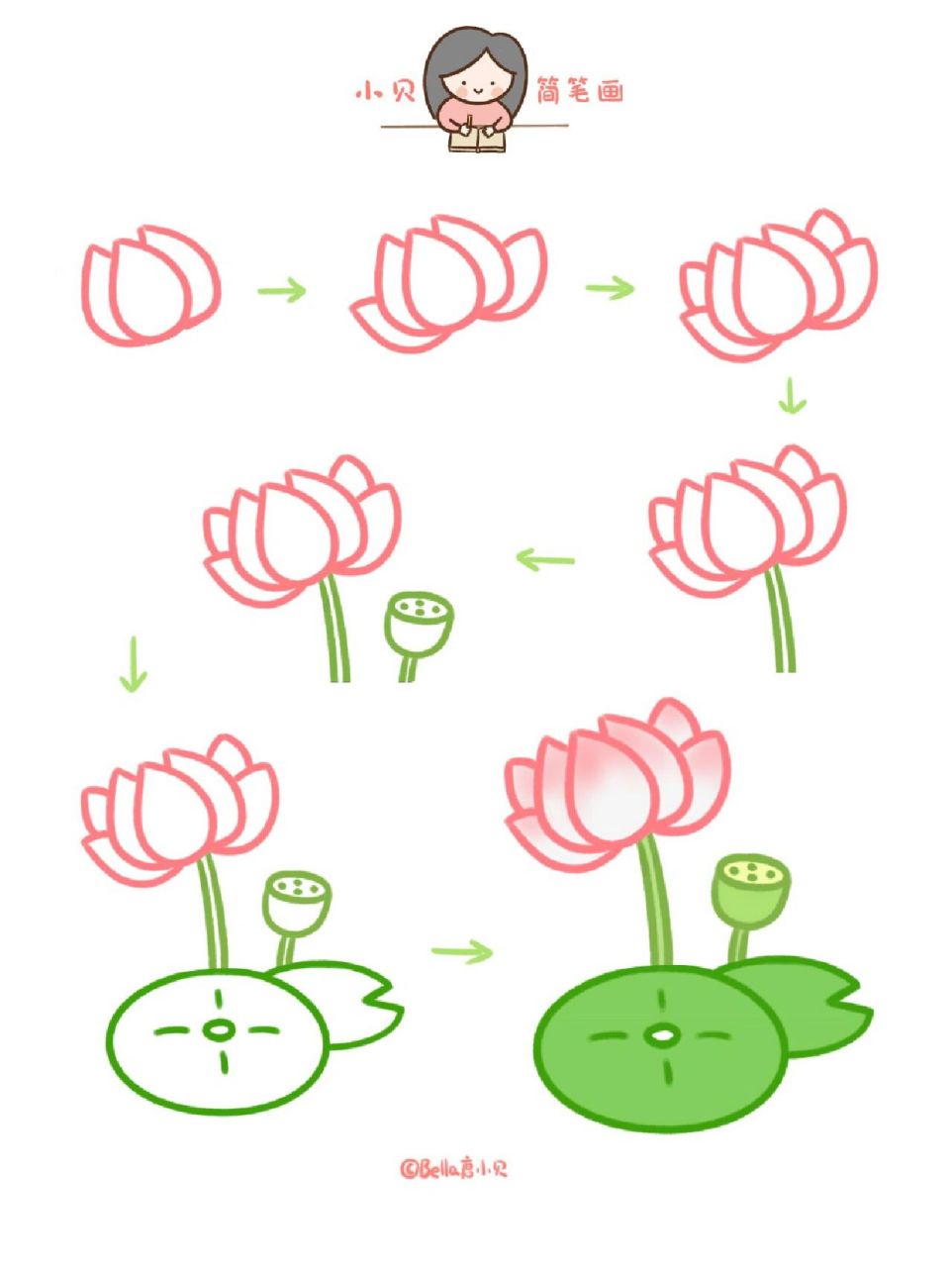小贝简笔画-莲花 描边颜色荷花:粉红色荷花茎莲蓬:浅绿荷叶:深绿.