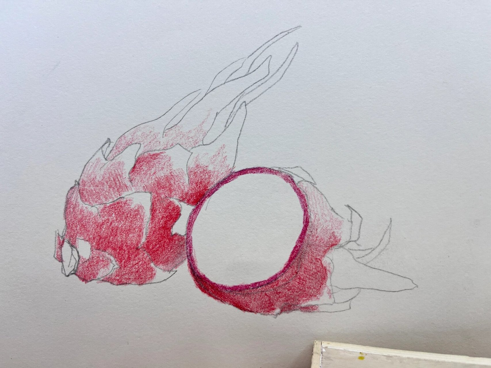 彩铅手绘·红红火火火龙果