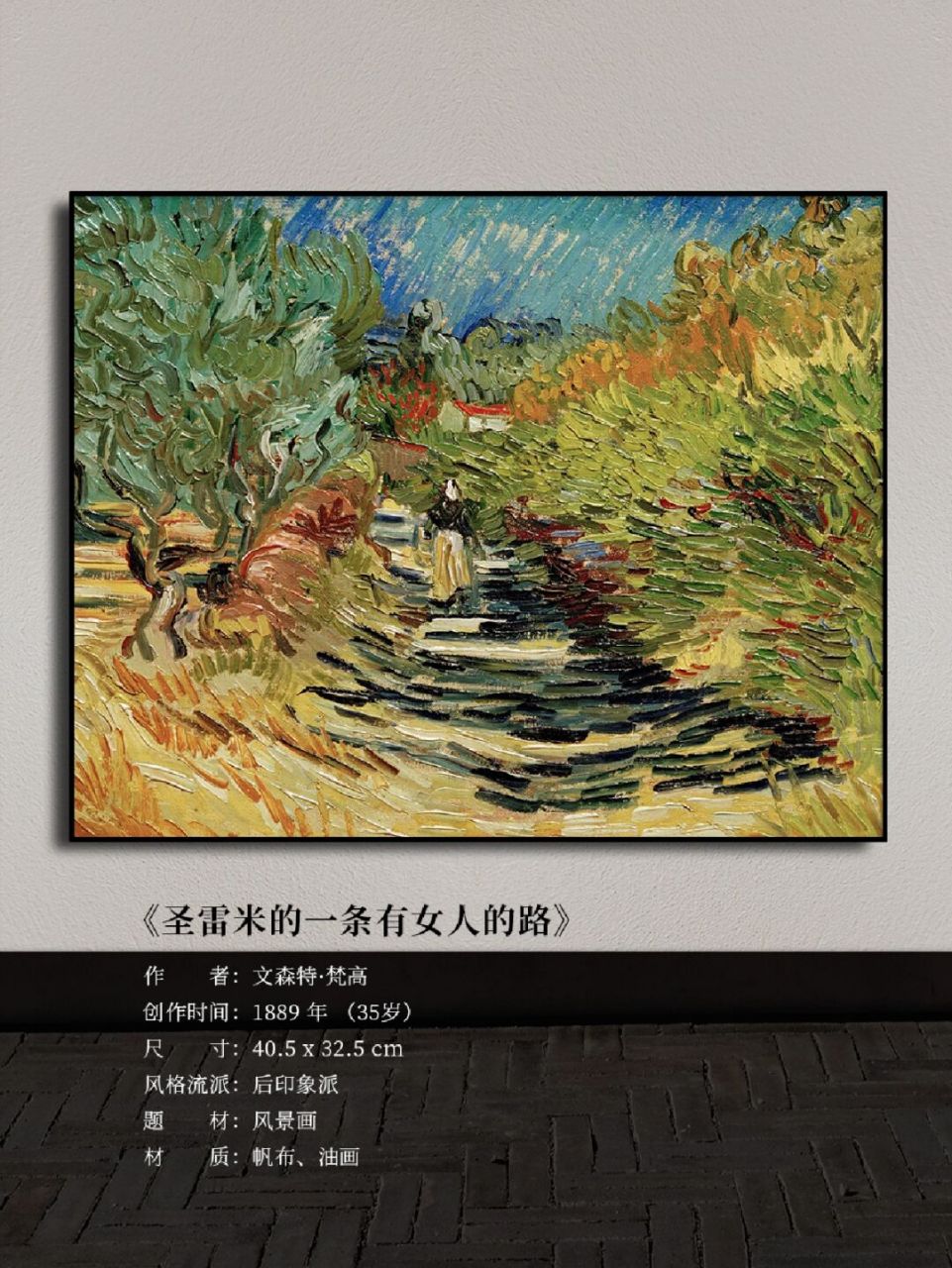 名       字:《圣雷米的一条有女人的路》 作       者:文森特·梵高