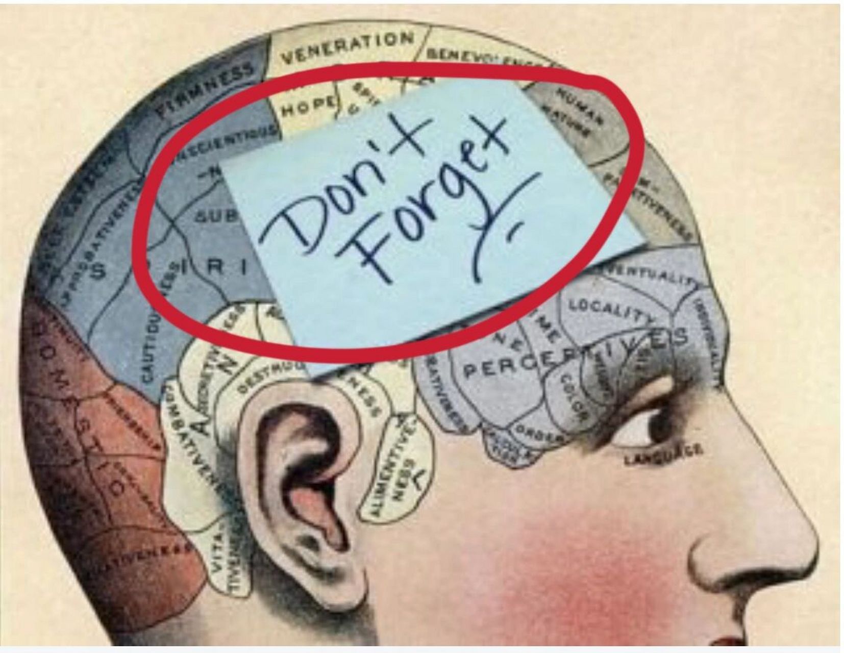 6015chunking. 把同类型的单词归纳在