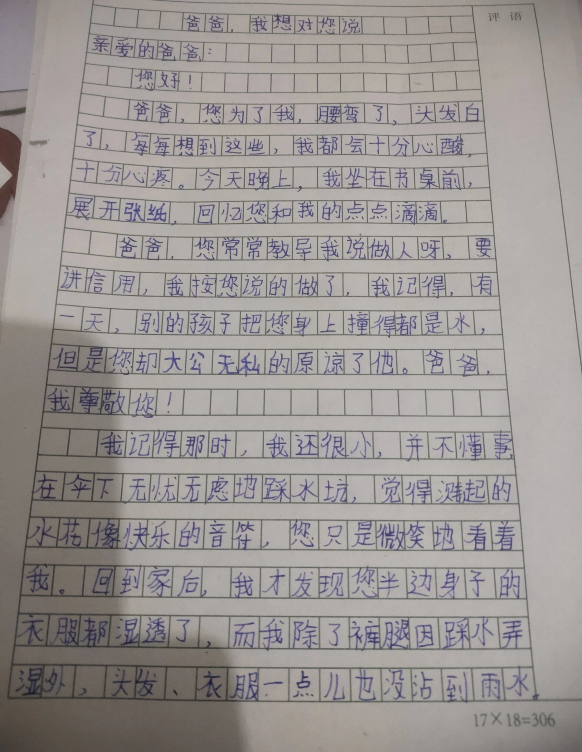 爸爸我想对你说作文图片