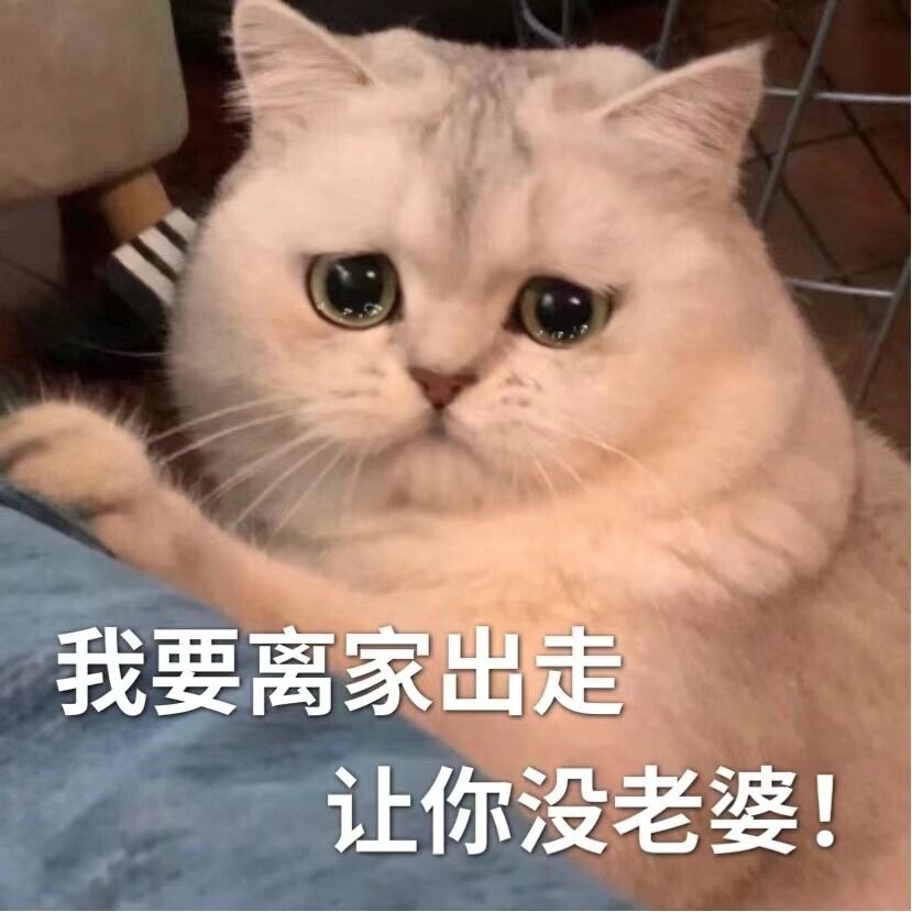 表情包