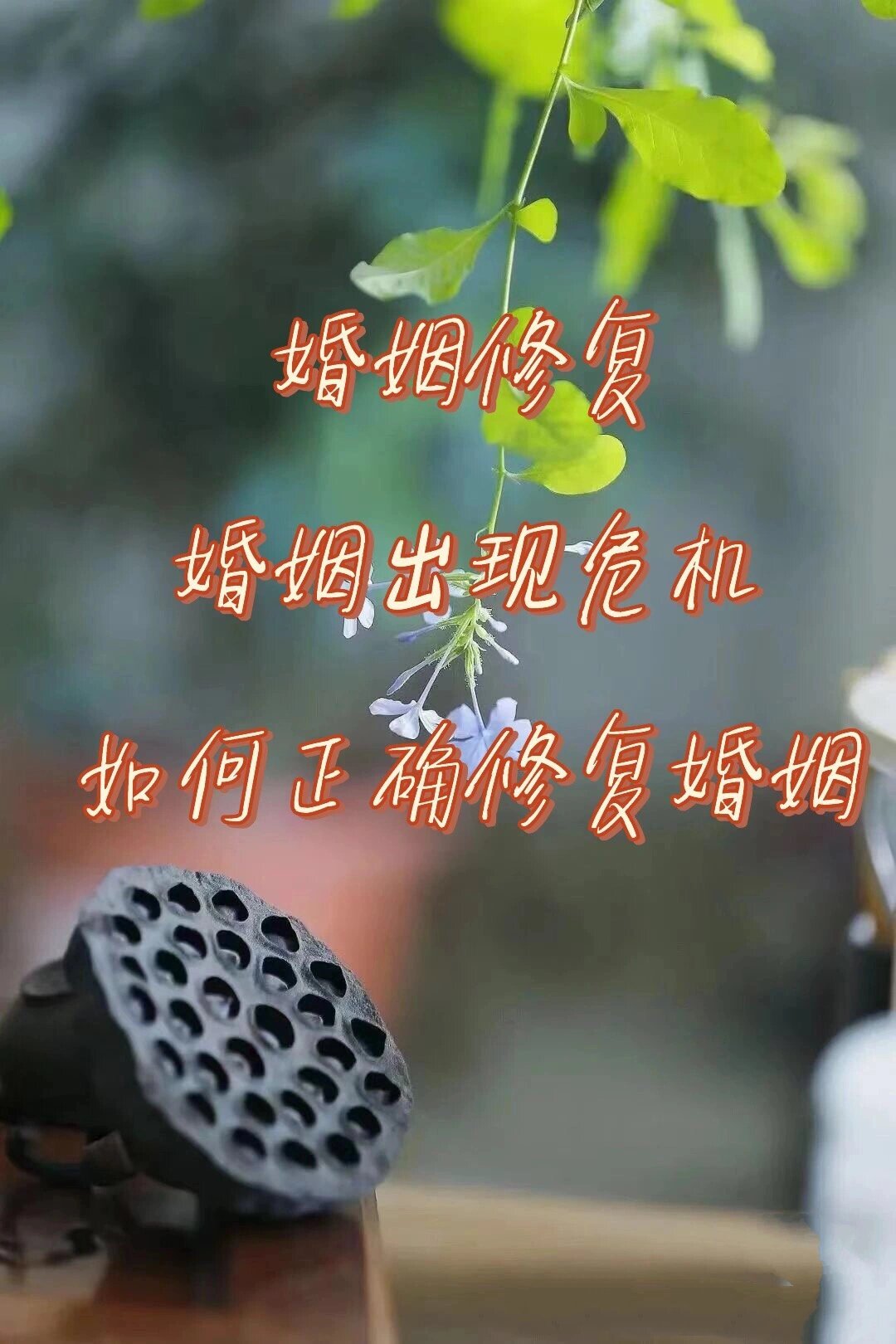 婚姻修复中心图片