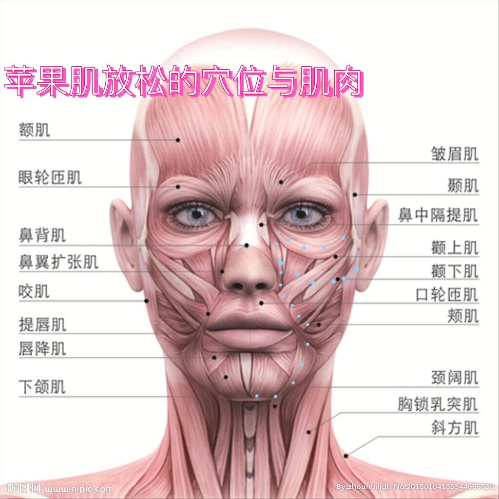 苹果肌具体位置图片图片