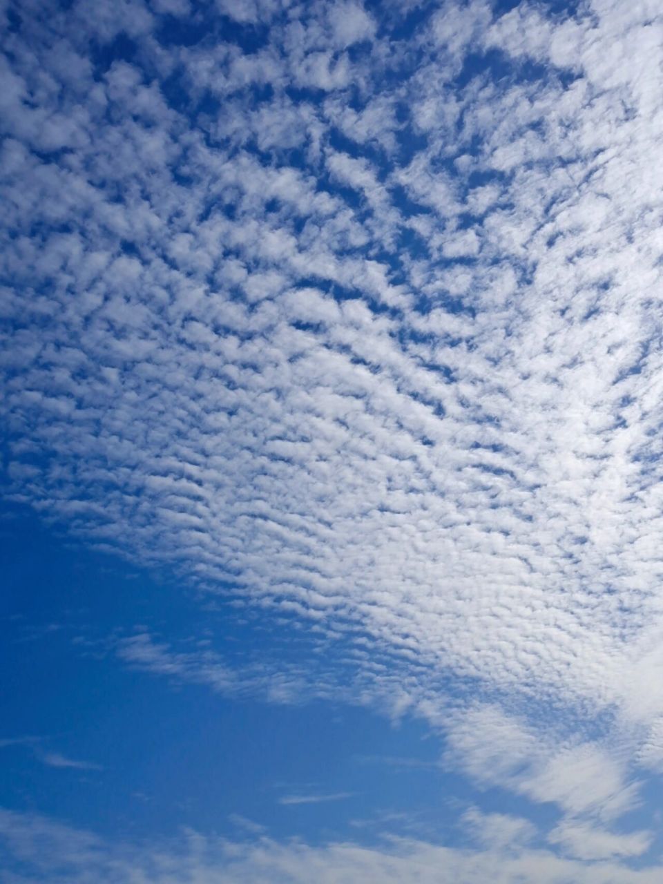 鱼鳞云的学名比较高级,叫做透光高积云,通常都是高度的整齐片状外形