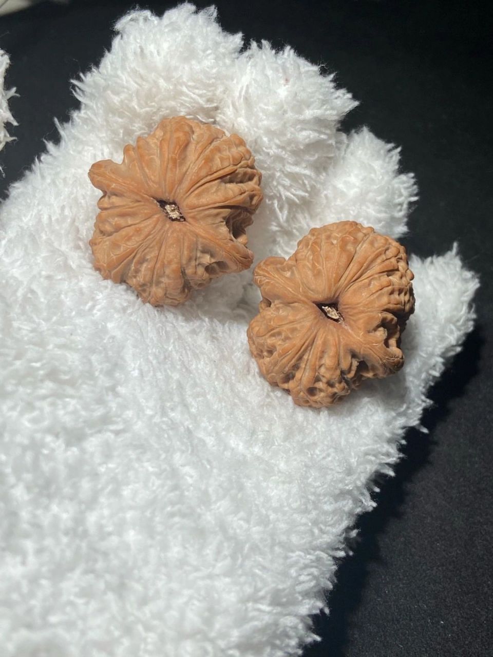 平谷血麒麟 文玩核桃 平谷血麒麟～36-38.5-31.