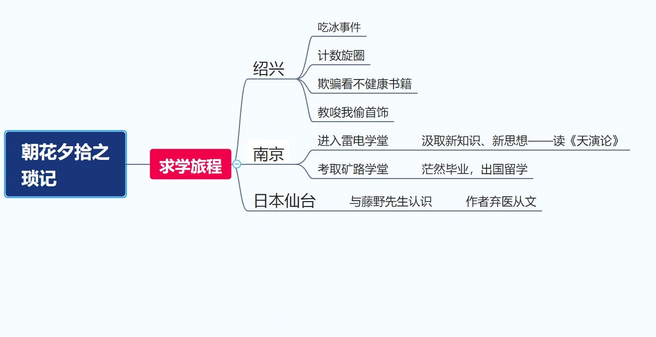 范爱农思维导图图片图片