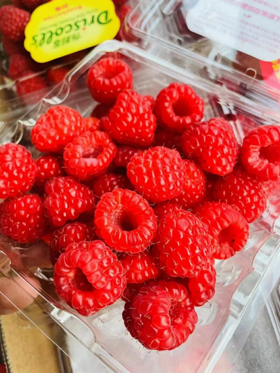 莓树莓 【driscoll`s怡颗莓红树莓】新鲜到货,来自加州的百年浆果世家