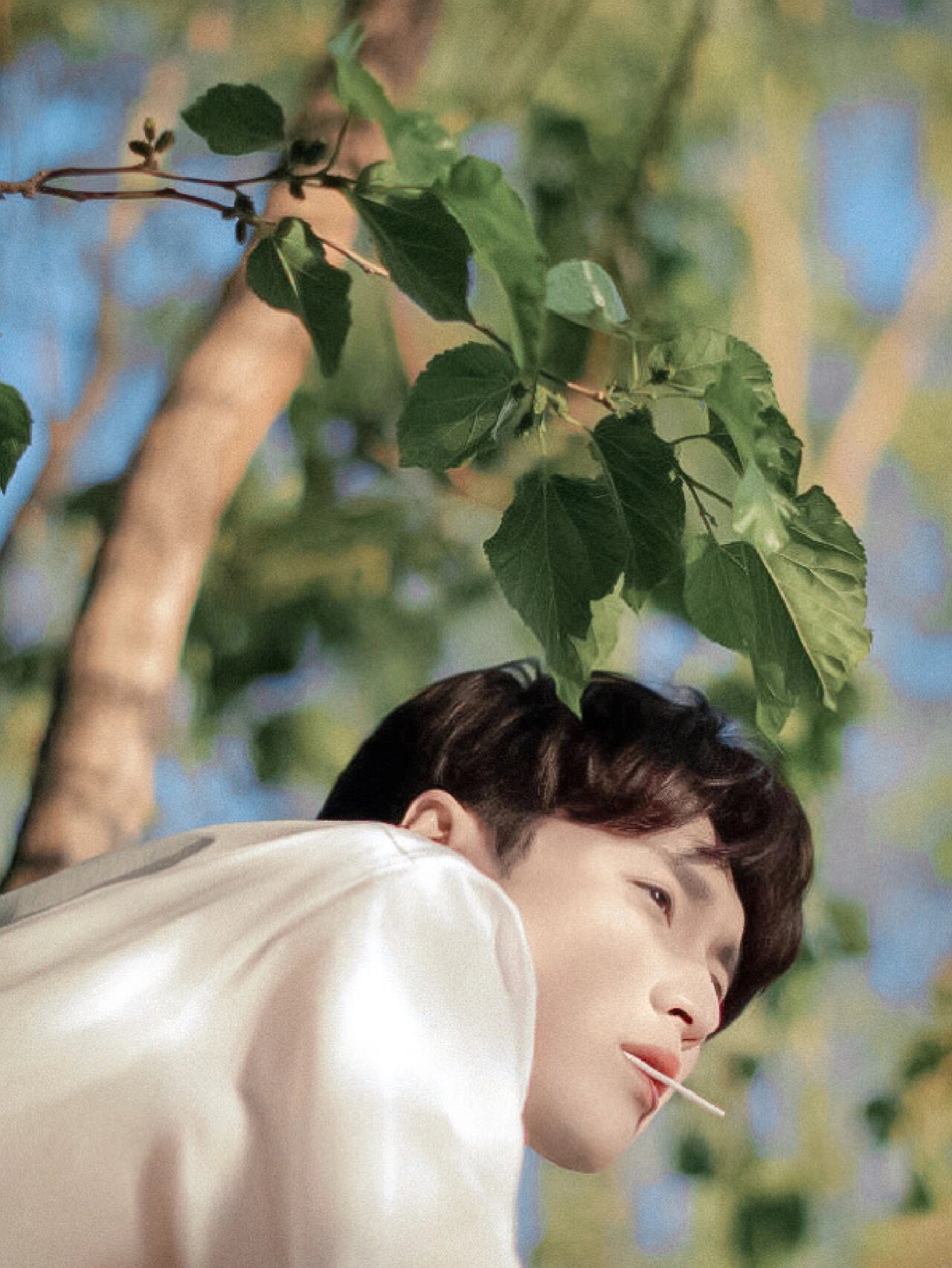 11.21 张艺兴头像来了