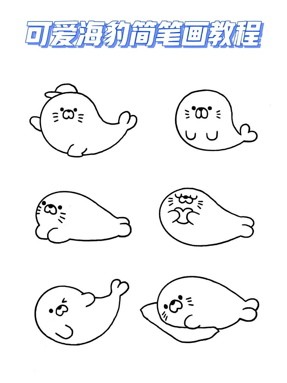 小海豹简笔画教程|零基础也能画 一组简笔画海豹 快接受我的可爱豹击