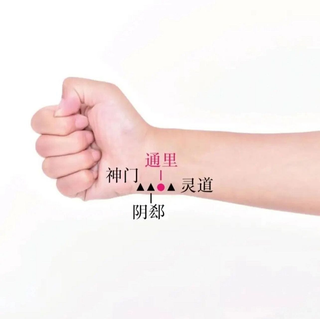 强心脏,调血压,顺口舌,坐骨神经痛通里穴 今天来给