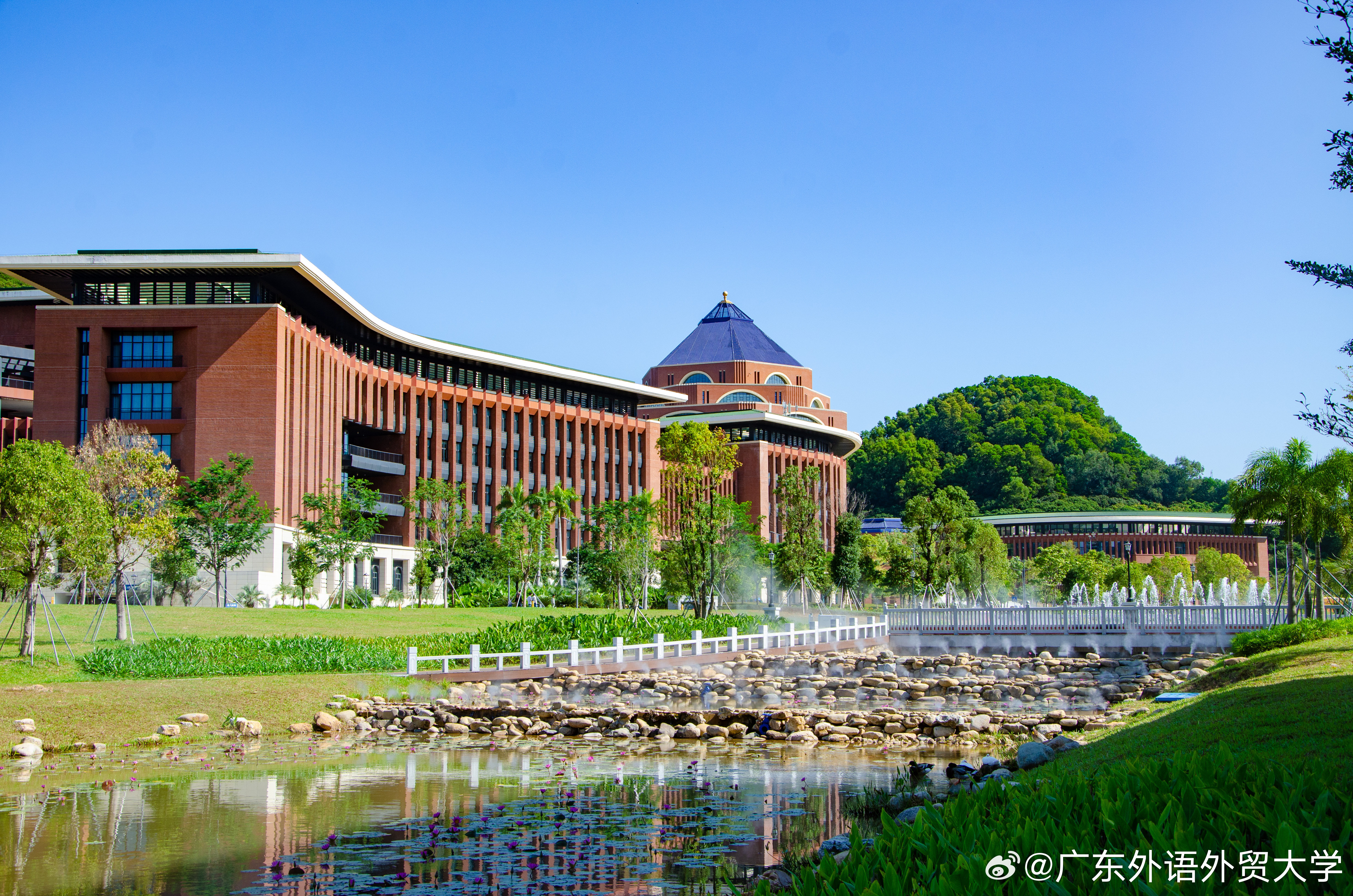 中山大学录取分数线2024