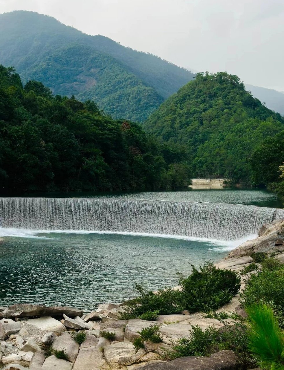 "桐木关"│"桐木村" 97 桐木关―位于福建省武夷山市,平均海拔1100