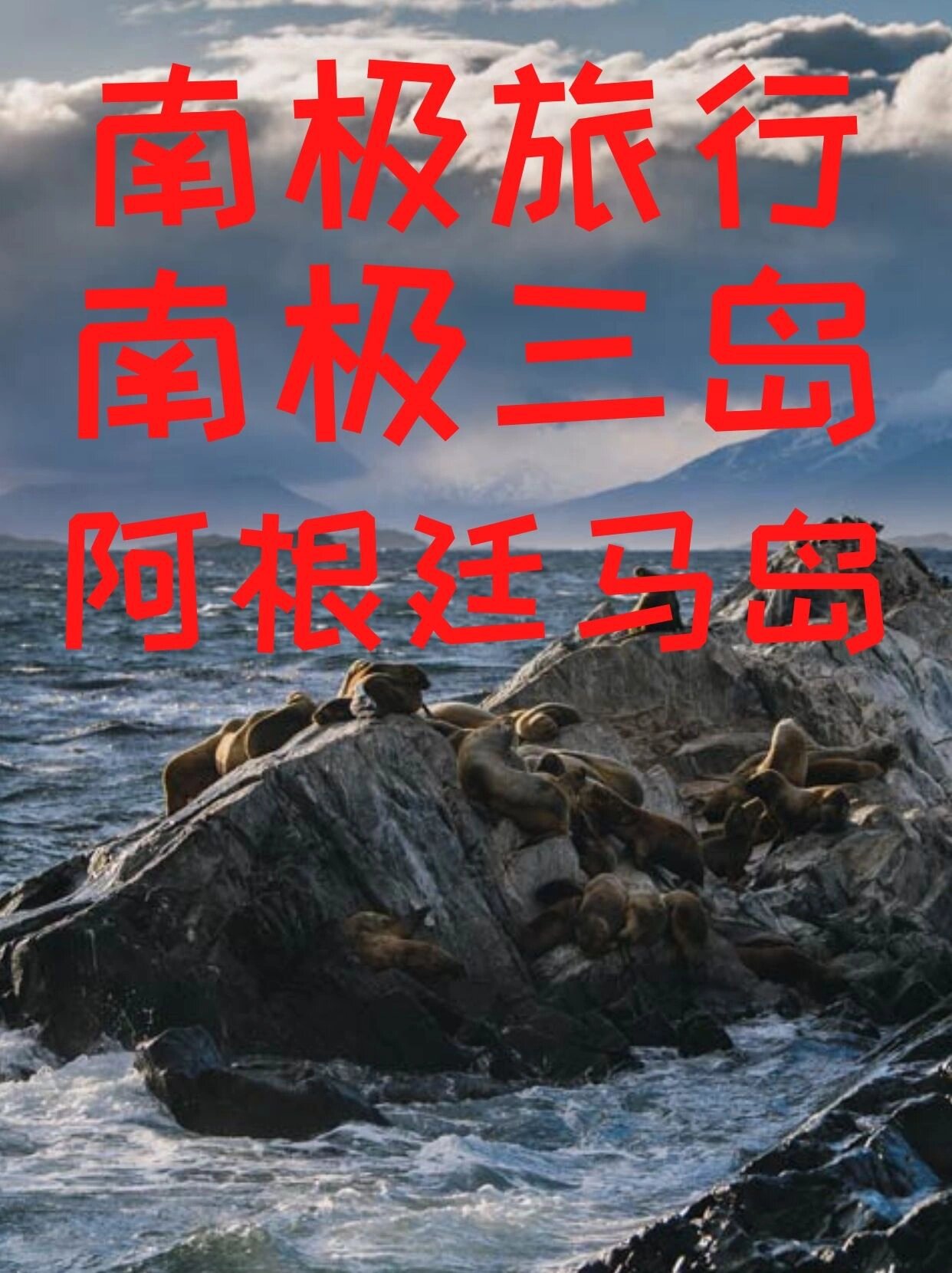 南极旅游?南极三岛之一✨阿根廷马岛