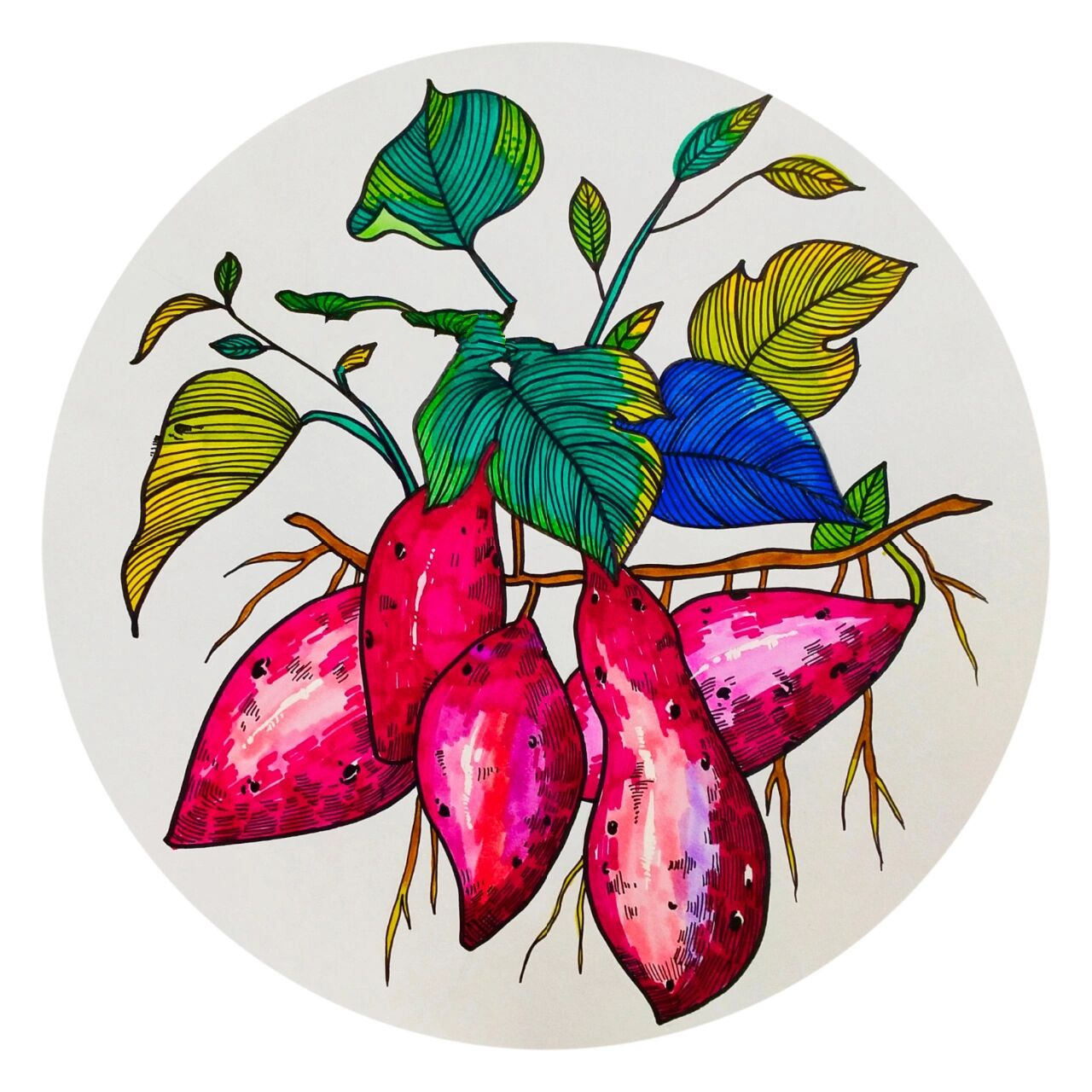 创意儿童画《红薯》 适合七八岁的小朋友 好多小仙女问我要荷兰白卡纸