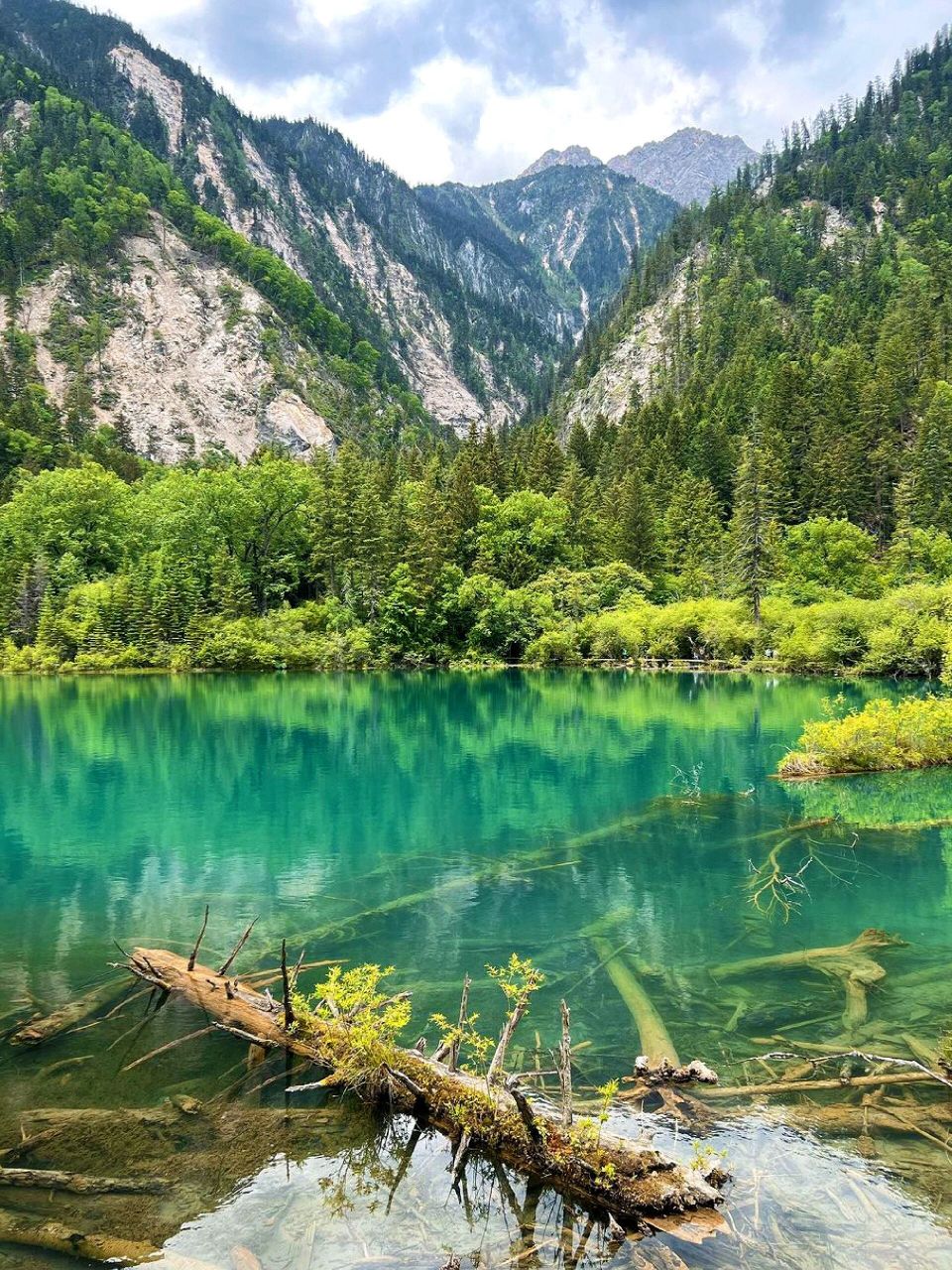 有一种美叫做九寨沟的夏天,太治愈了95 九寨沟的水早有耳闻,但是