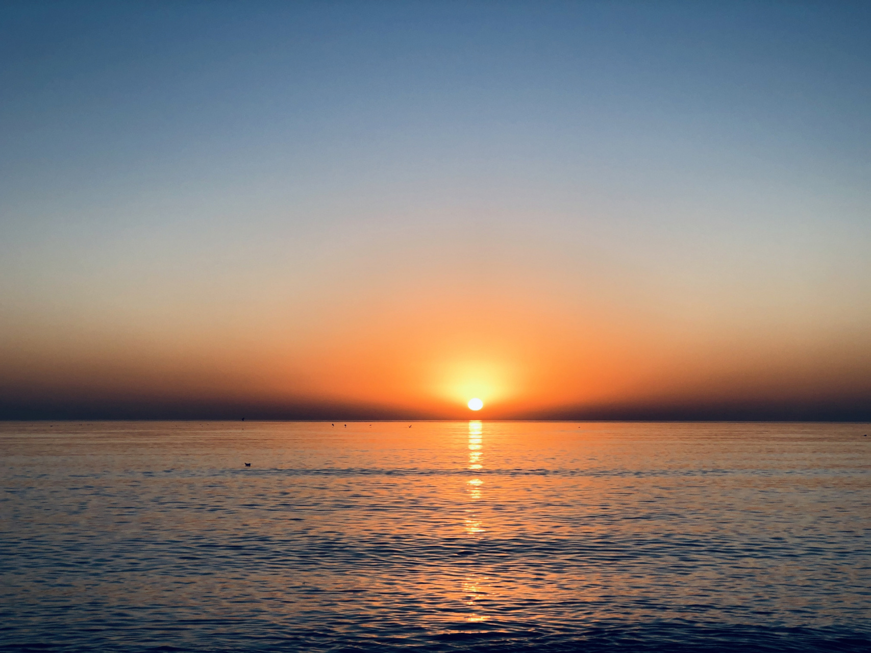 秦皇岛黄金海岸 周五下午出发 四个小时到达周日中午返回日出非常美