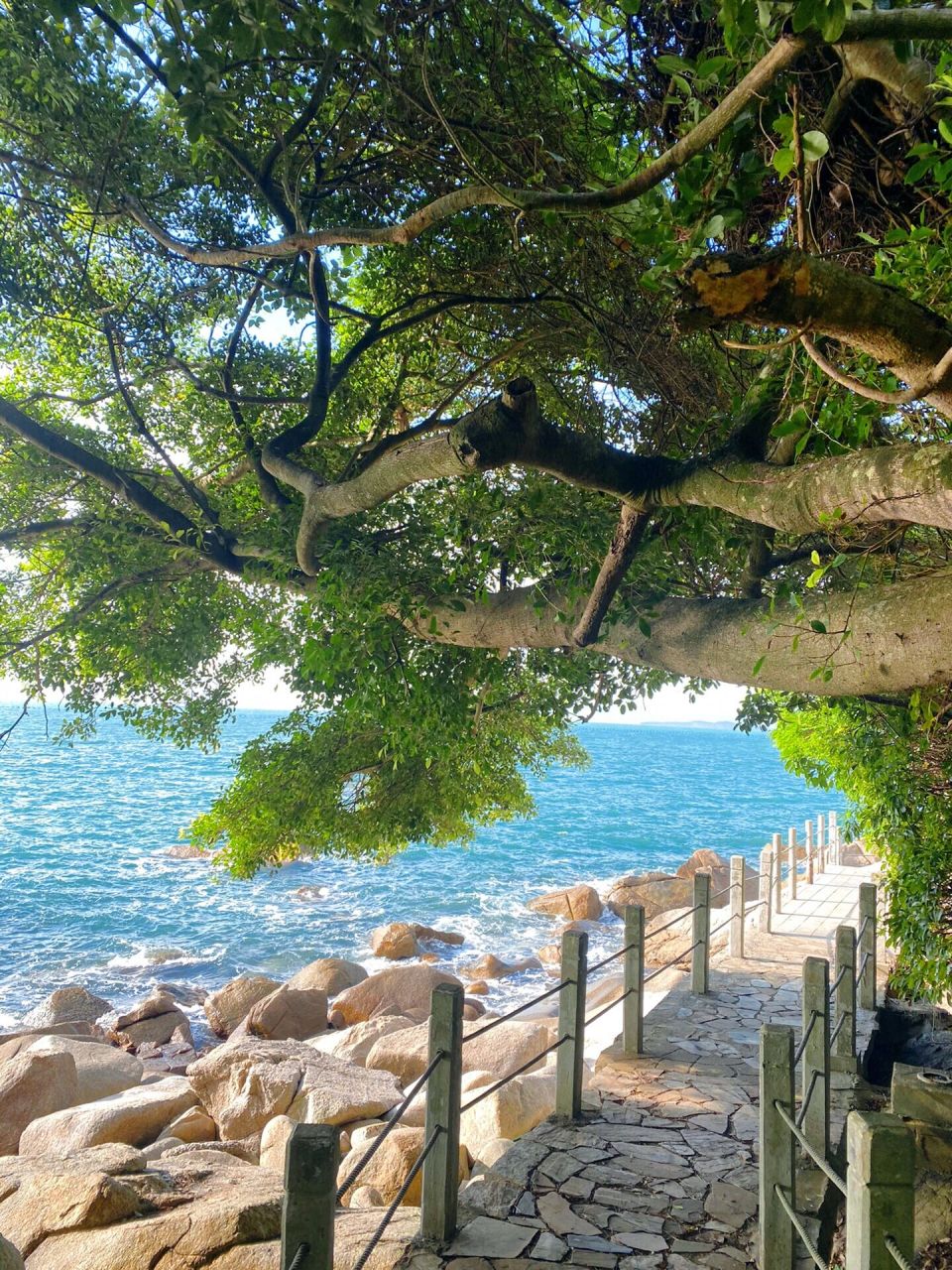 广东周边游 |深圳小众海滩柚柑湾9215 7715夏天是什么样子的?