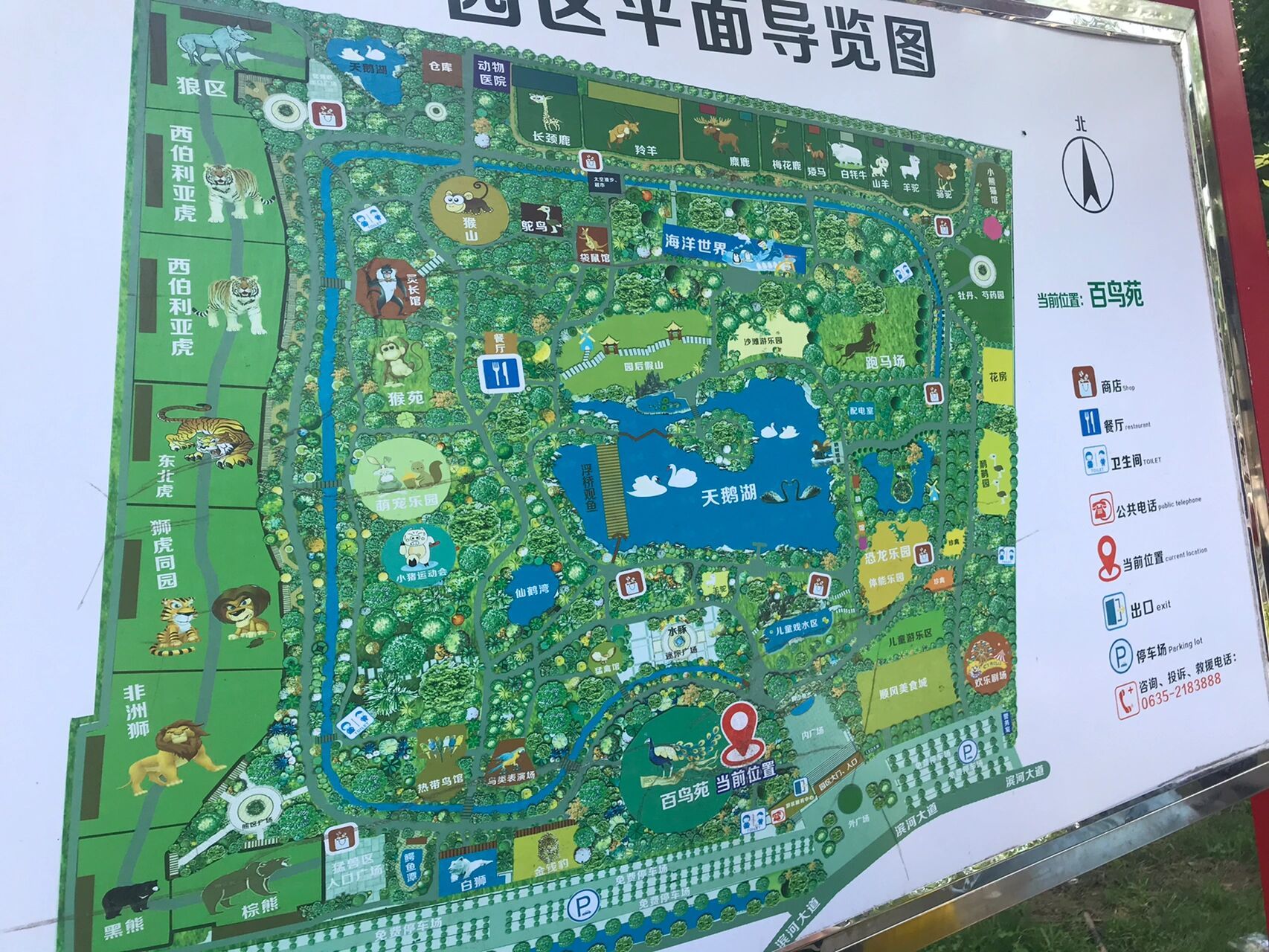 聊城滨河野生动物园 最近频繁刷到 ,女士门票990.