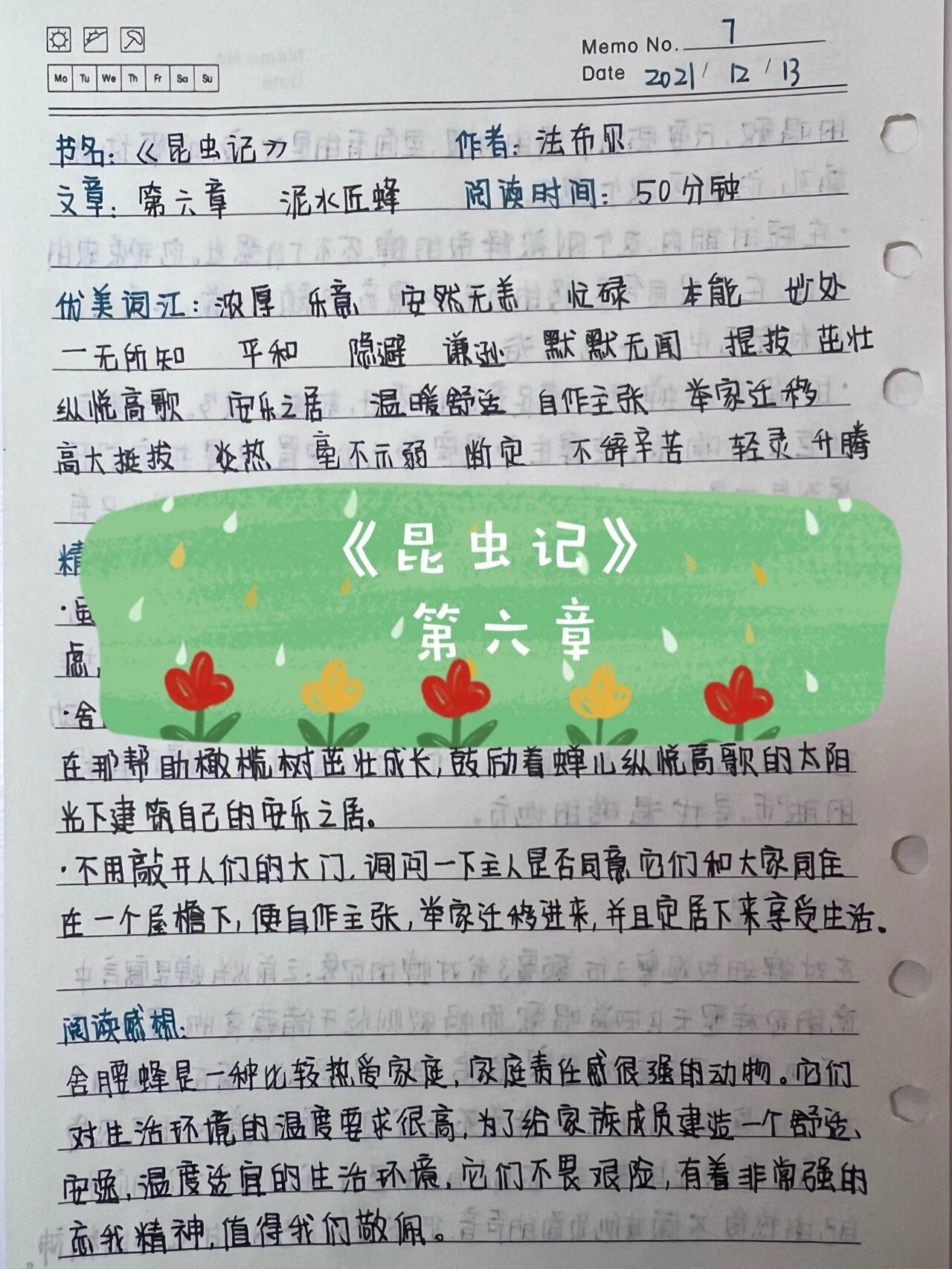 昆虫记砂泥蜂介绍图片