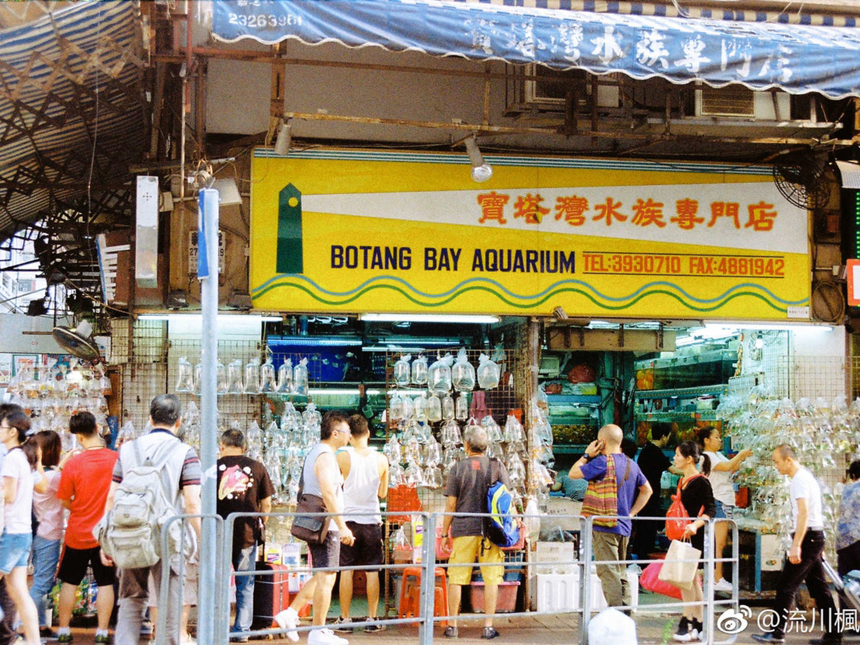 【香港旺角拍照地——金鱼街】 油尖旺 | 复古胶片| 小众 | 港片 78