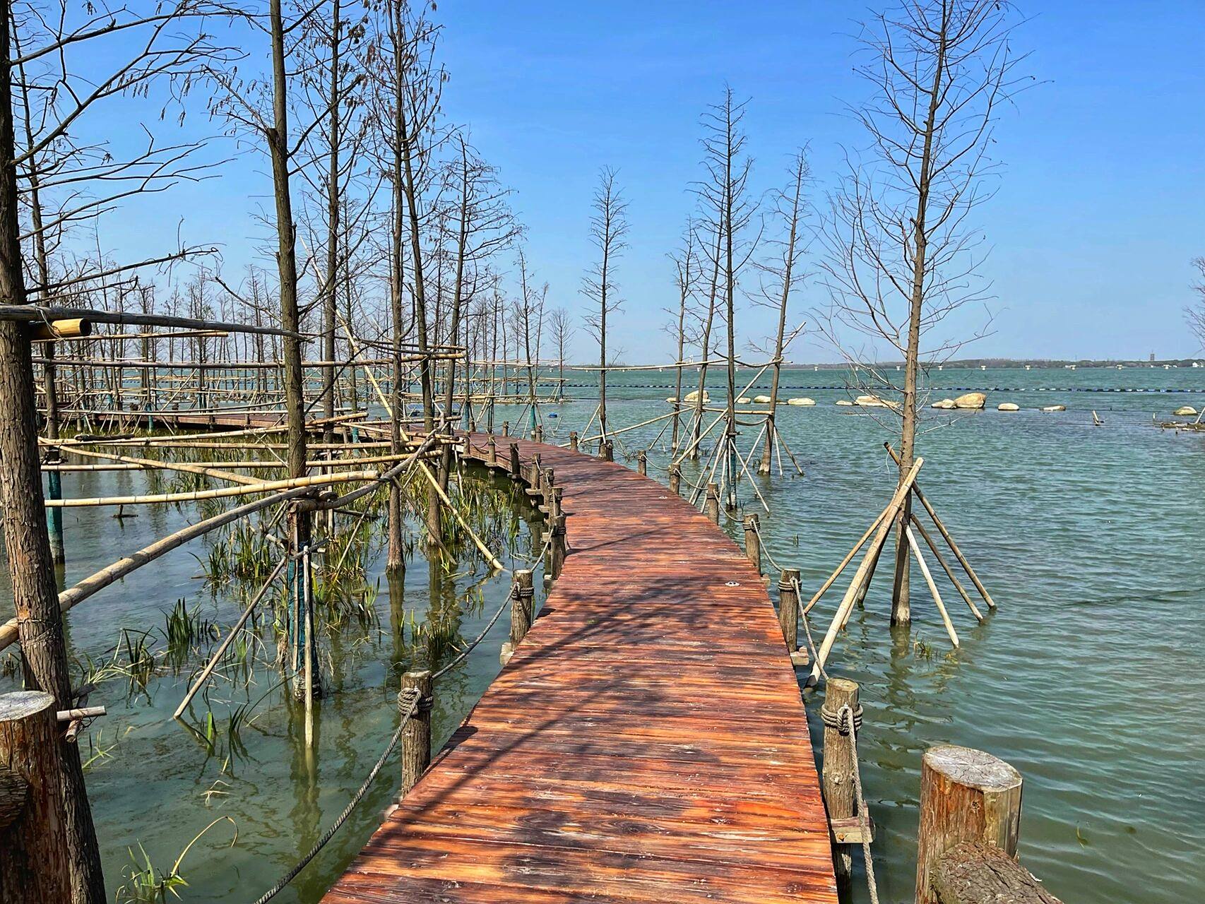 上海郊游 | 元荡湖 春天来啦,适合出去郊游啦.