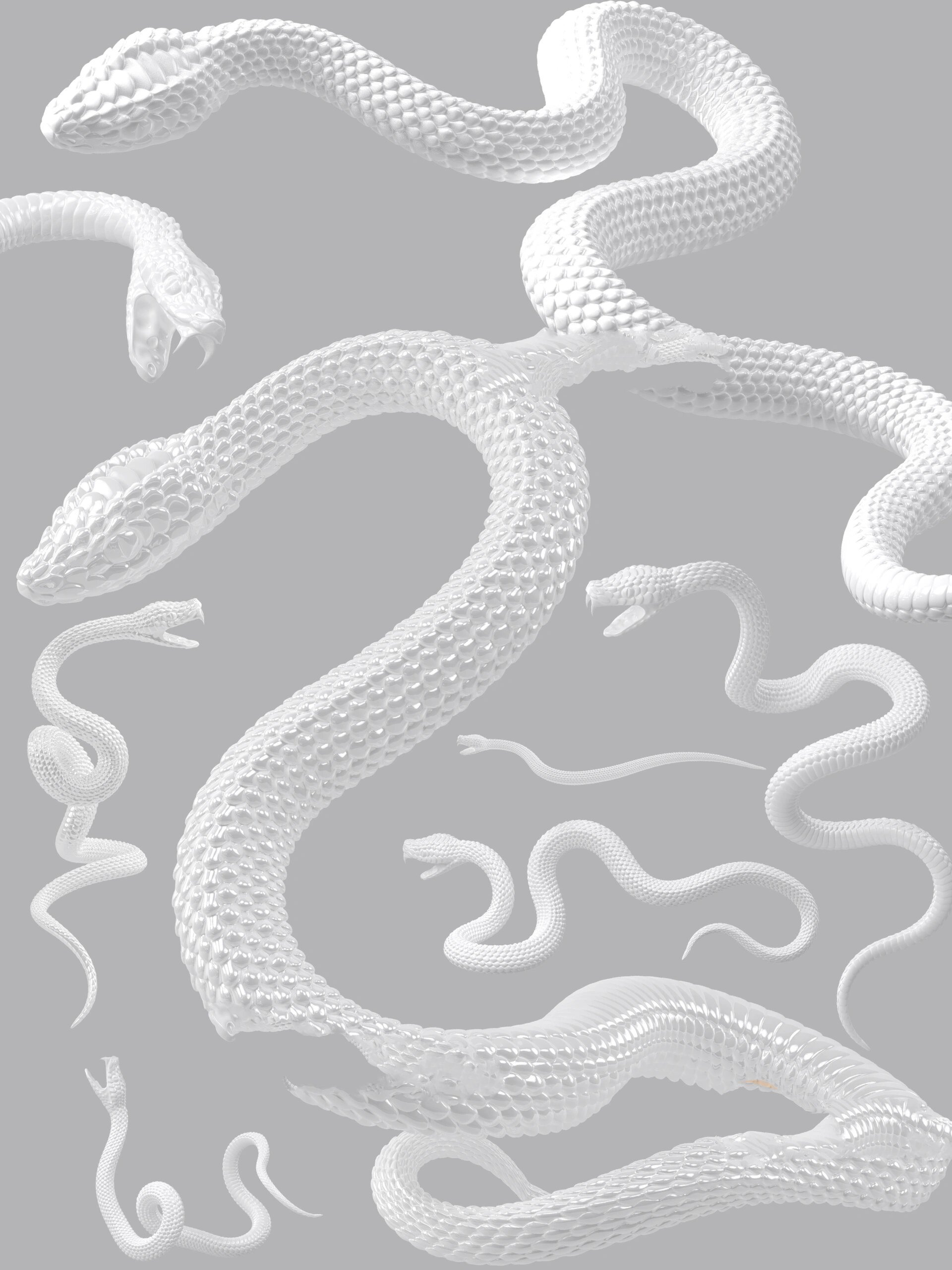 4k超清白蛇/水晶蛇97png免扣素材分享