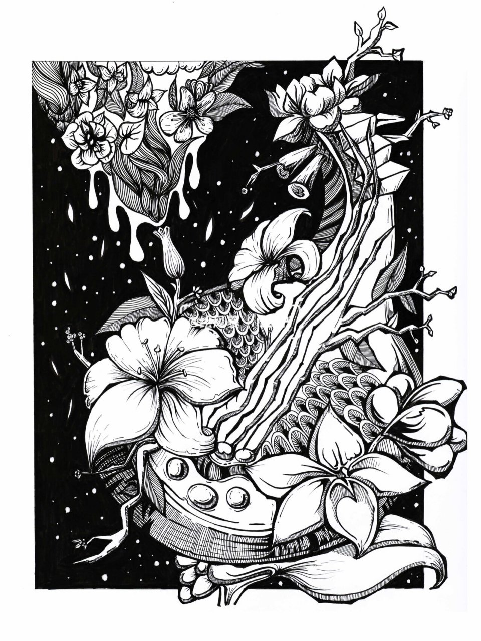 黑白装饰画61花卉植物题材 风暴学员作品分享,临摹请私信