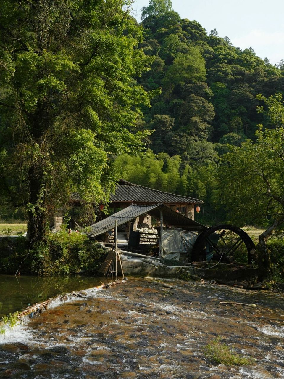 浮梁旅游 |一生必须要来一次的景点99 99每当浮梁买茶节的开始,我