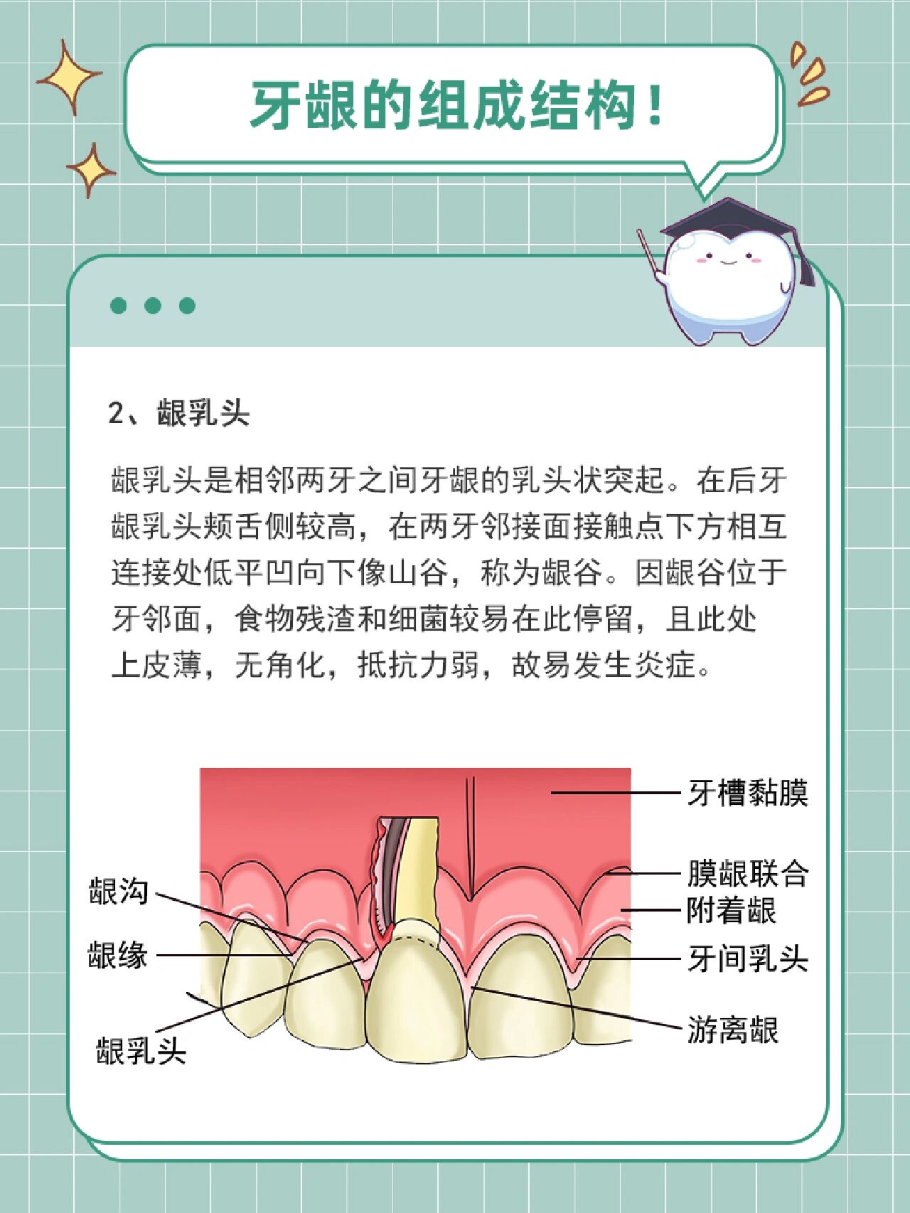 游离龈与牙体之间有一环绕牙颈的楔形间隙,称龈沟.