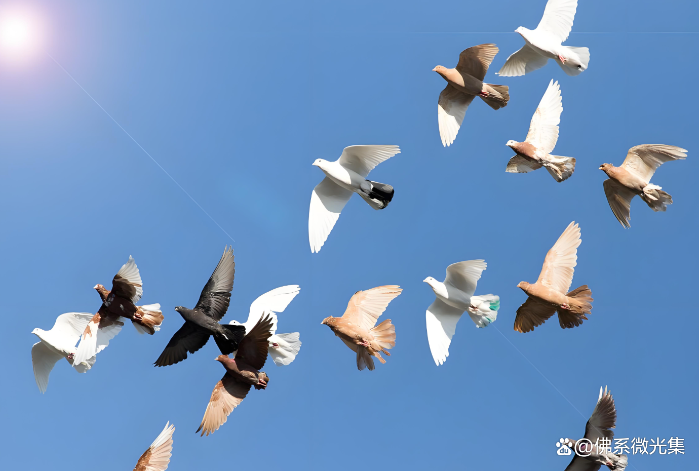 2025年可是个值得期待的一年哦!