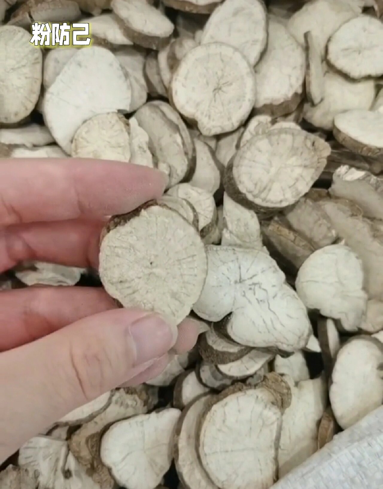 优质中药材——防己