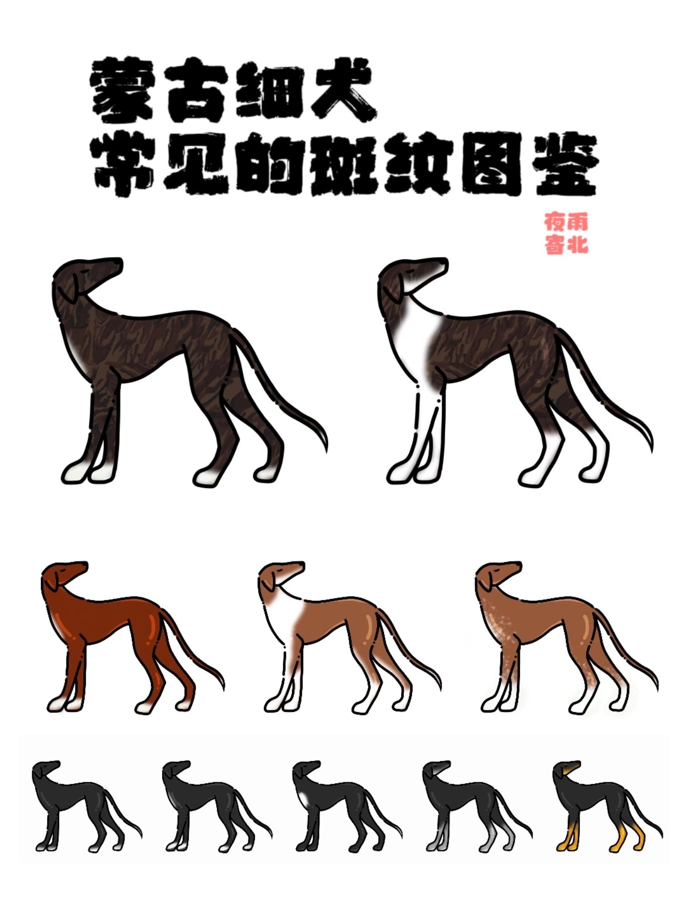 蒙古细犬毛色图鉴之常见的斑纹