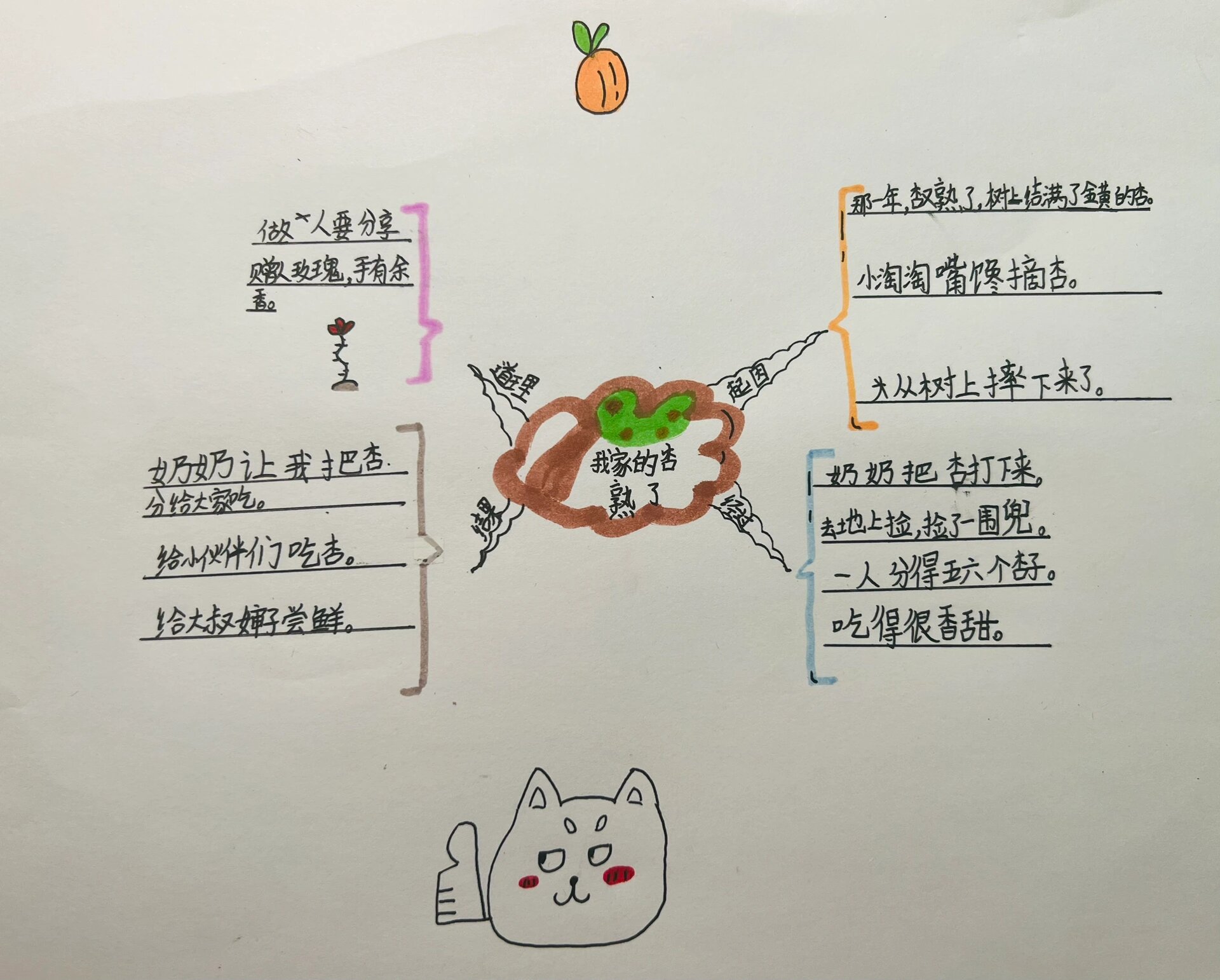 果实形成的思维导图图片