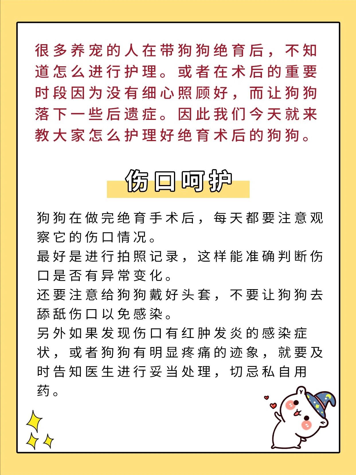 狗狗绝育术后怎么恢复,注意这几点恢复更快