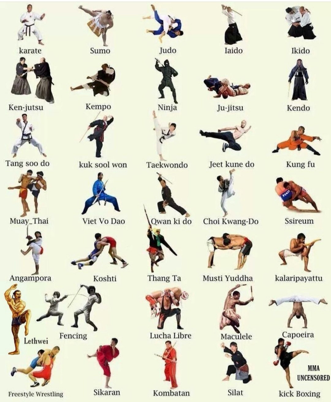 3分钟带你认识最全格斗术种类 目前看到的最全的格斗术种类,自行翻译